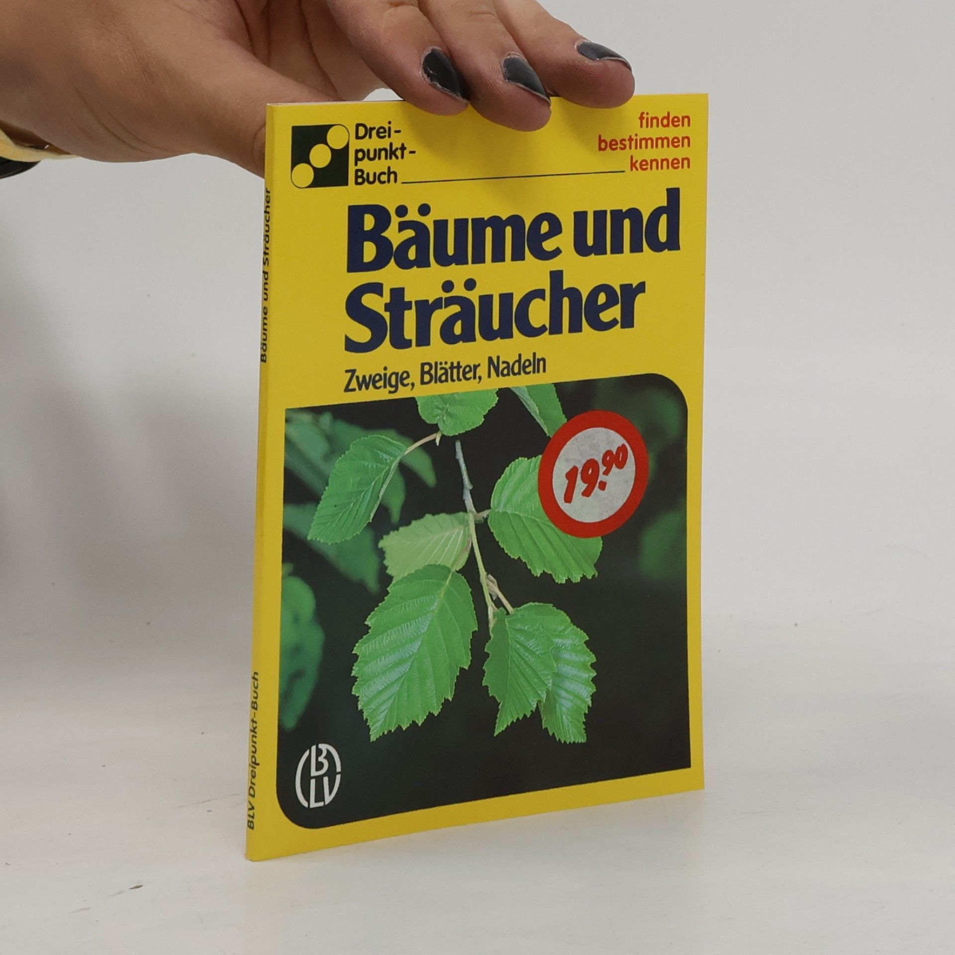Ute E. Zimmer Blüten der Bäume und Sträucher