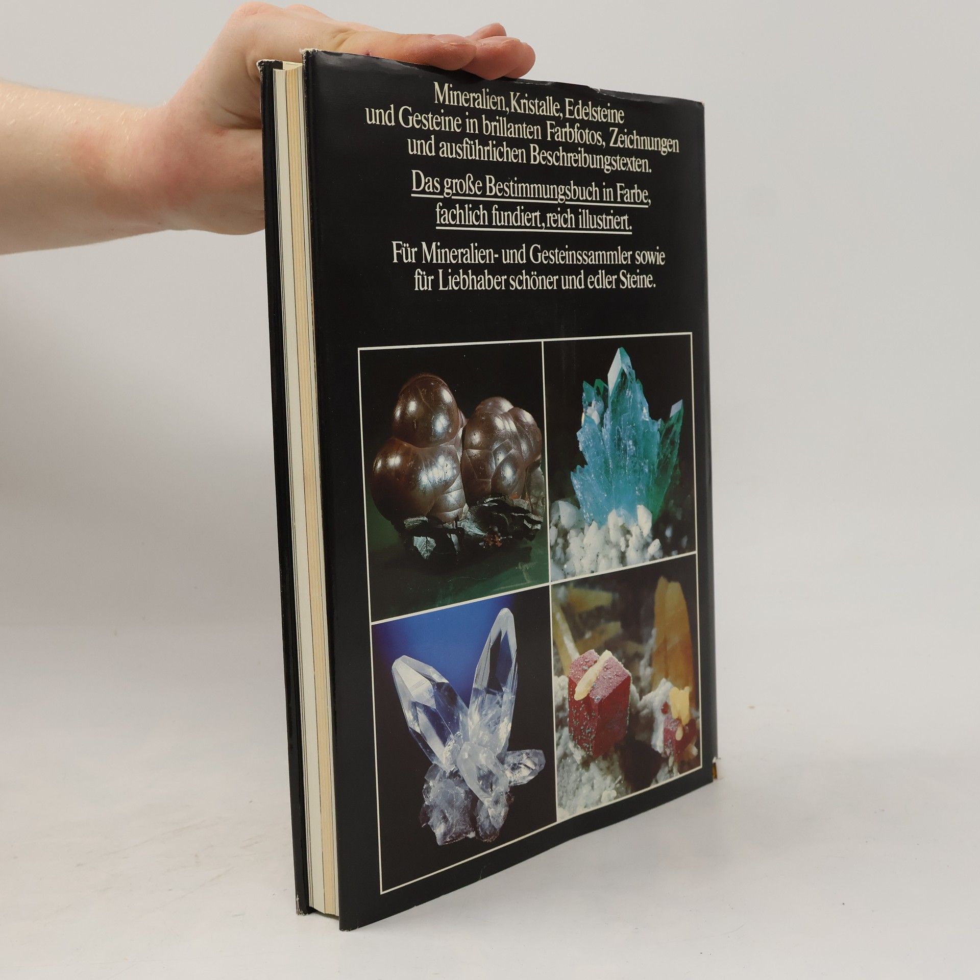Rupert Hochleitner Fotoatlas der Mineralien und Gesteine