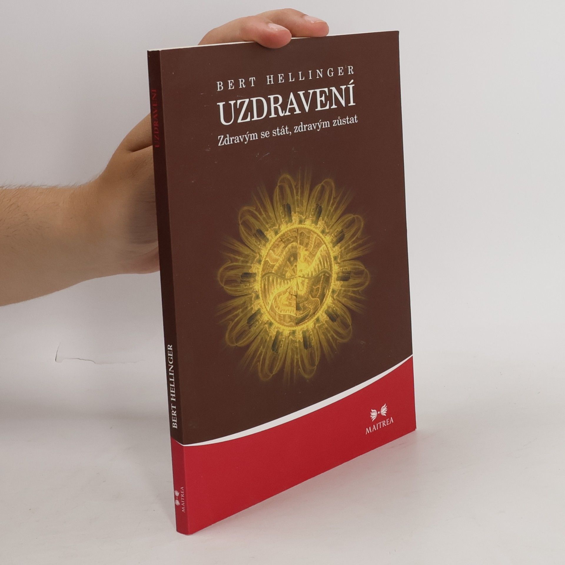 Bert Hellinger Uzdravení. Zdravým se stát, zdravým zůstat