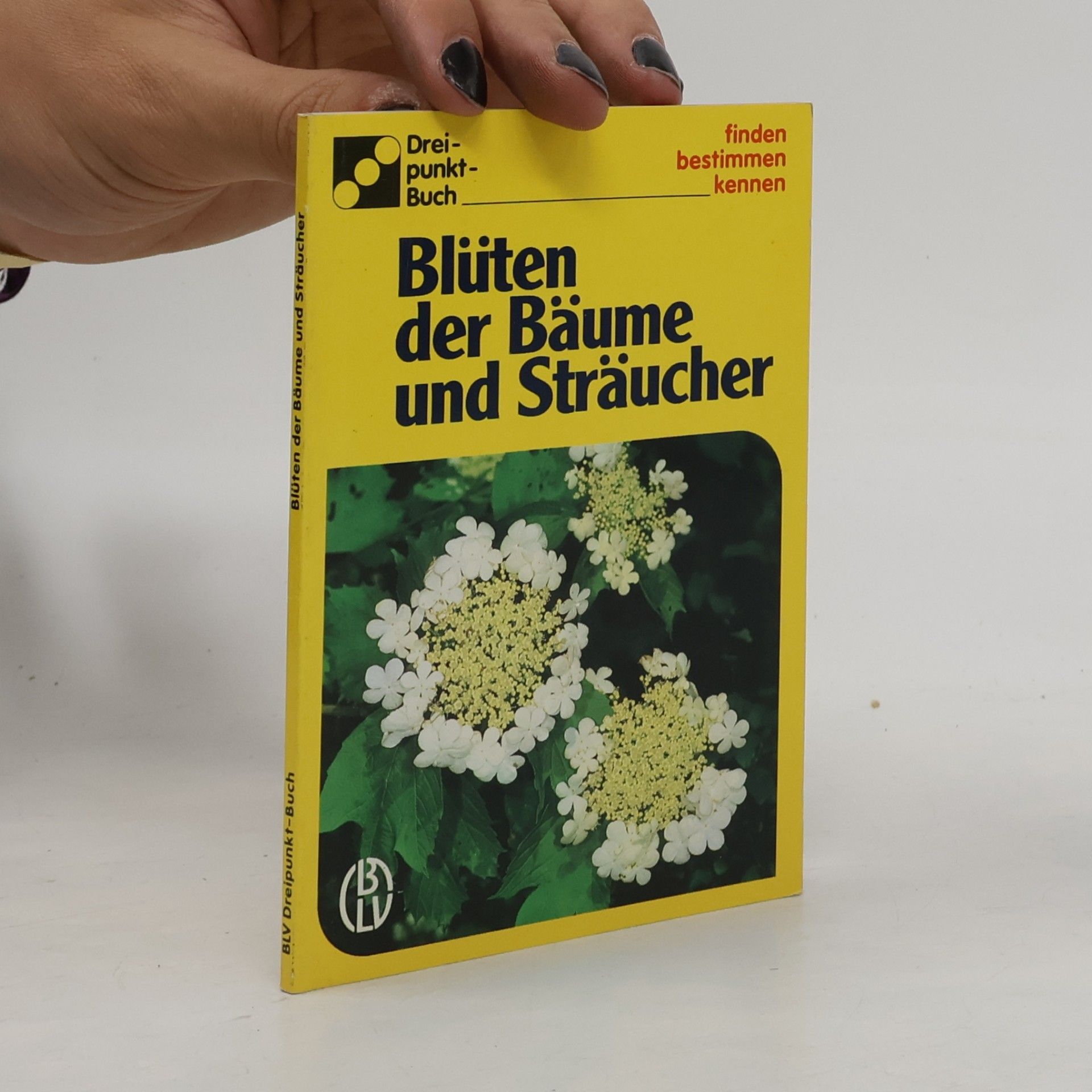 Ute E. Zimmer Blüten der Bäume und Sträucher