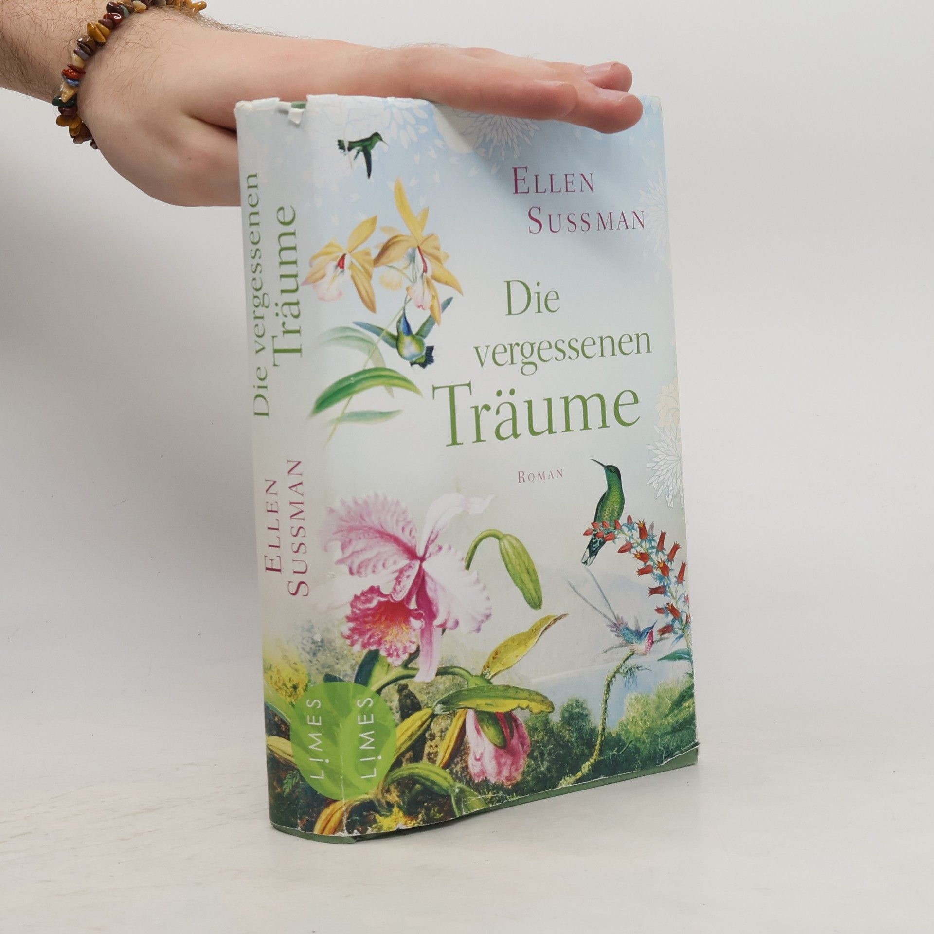 Ellen Sussman Die vergessenen Träume