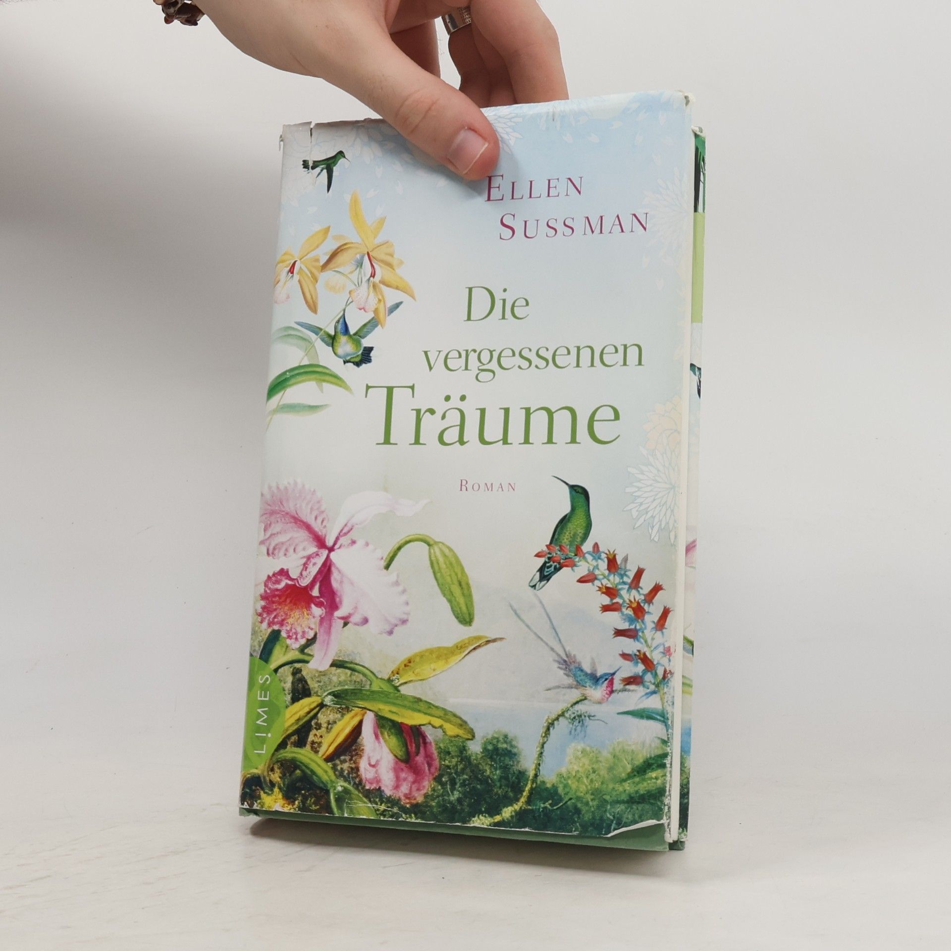 Ellen Sussman Die vergessenen Träume