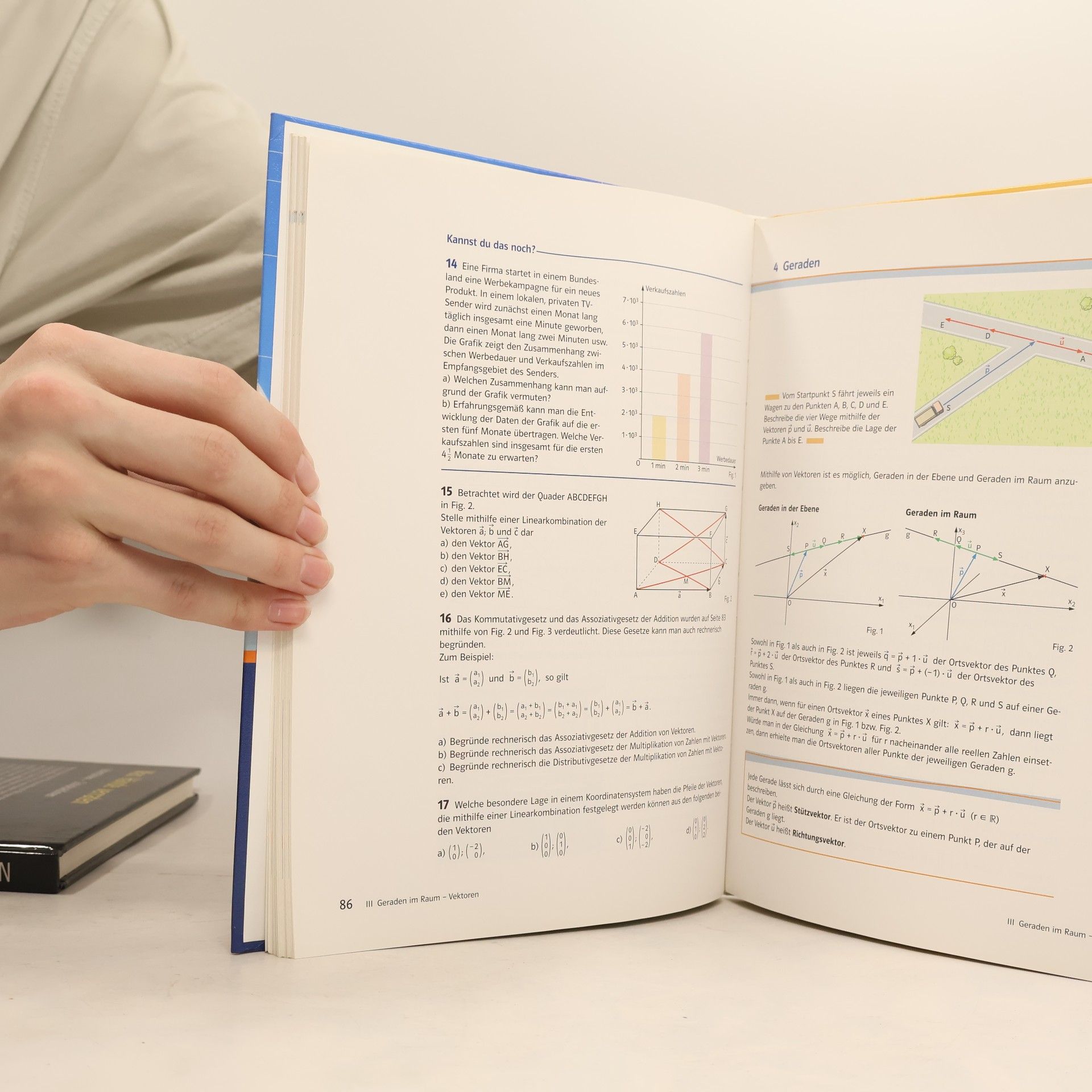 Autorenkollektiv Lambacher Schweizer 6. Mathematik für Gymnasien