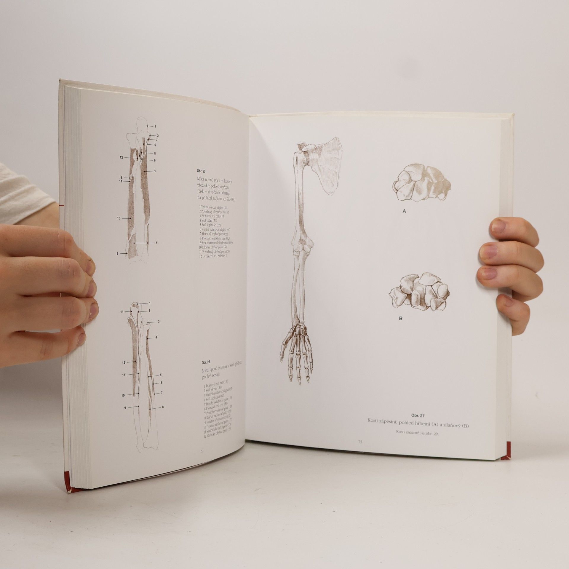 András Szunyoghy Anatomie pro výtvarníky. Člověk