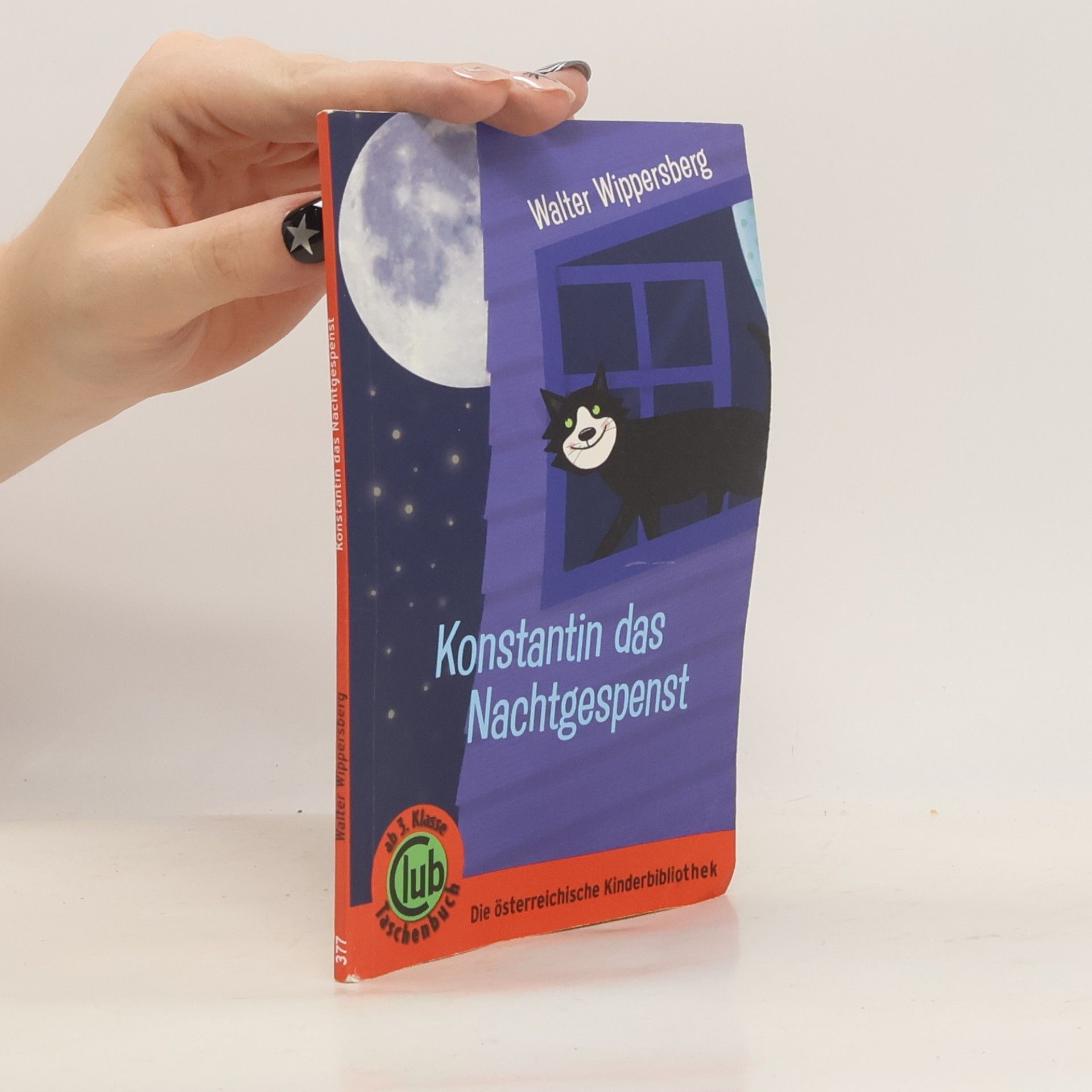 Walter Wippersberg Kater Konstantin und das Nachtgespenst