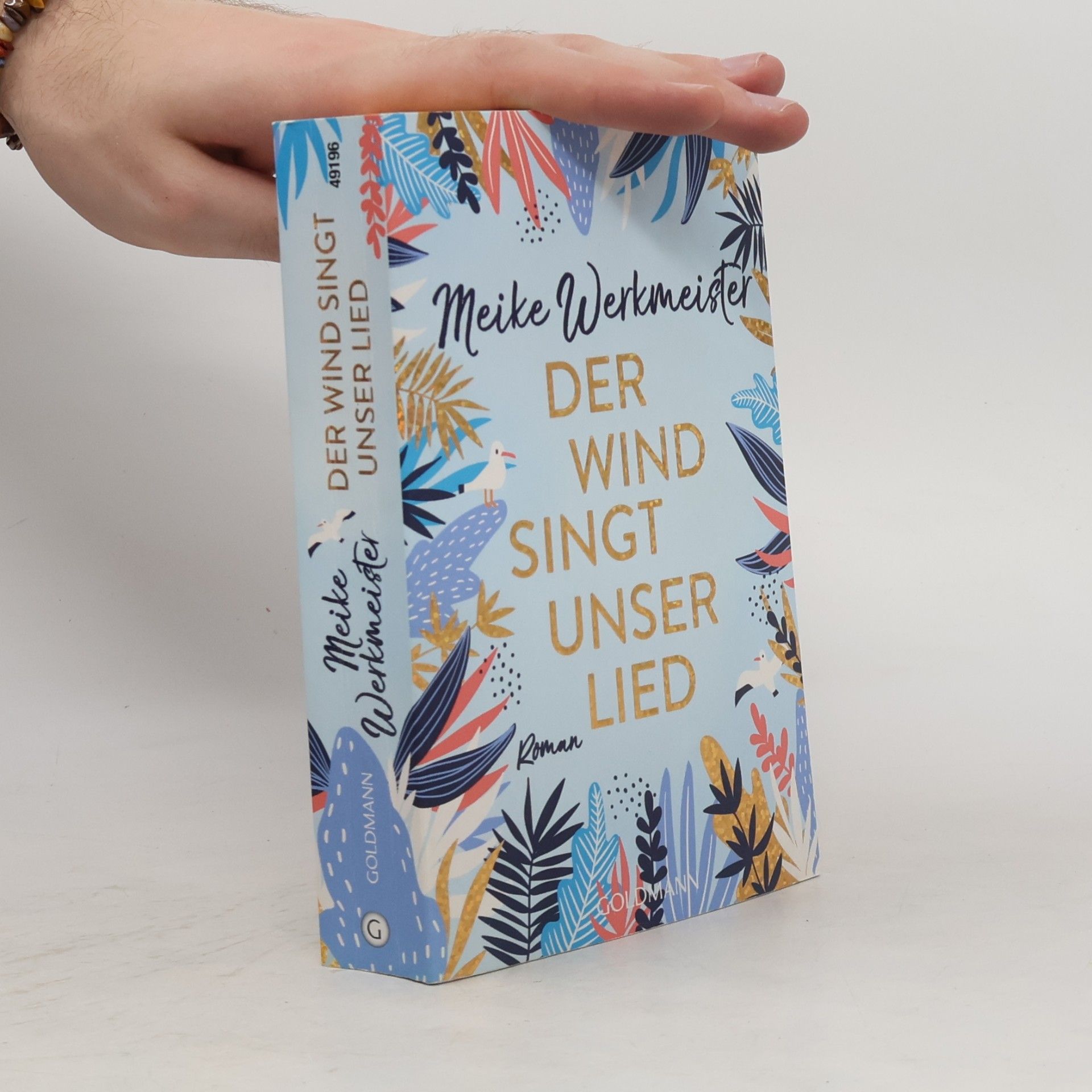 Meike Werkmeister Der Wind singt unser Lied