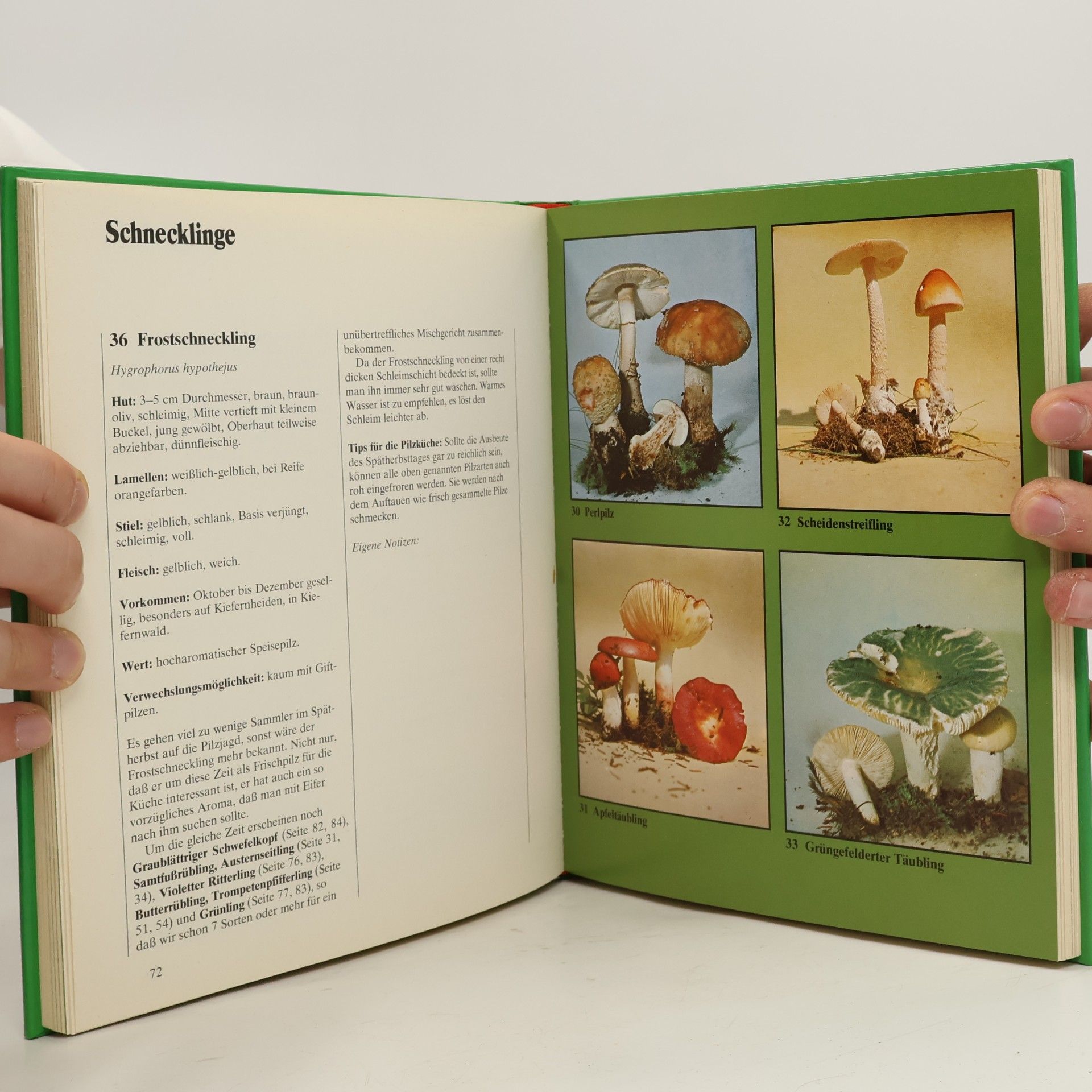 Rose Marie Dähncke Pilzsammlers Kochbuch