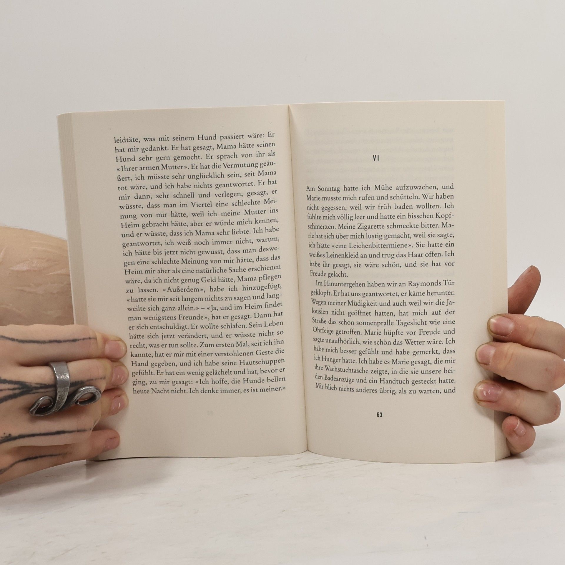 Albert Camus Der Fremde