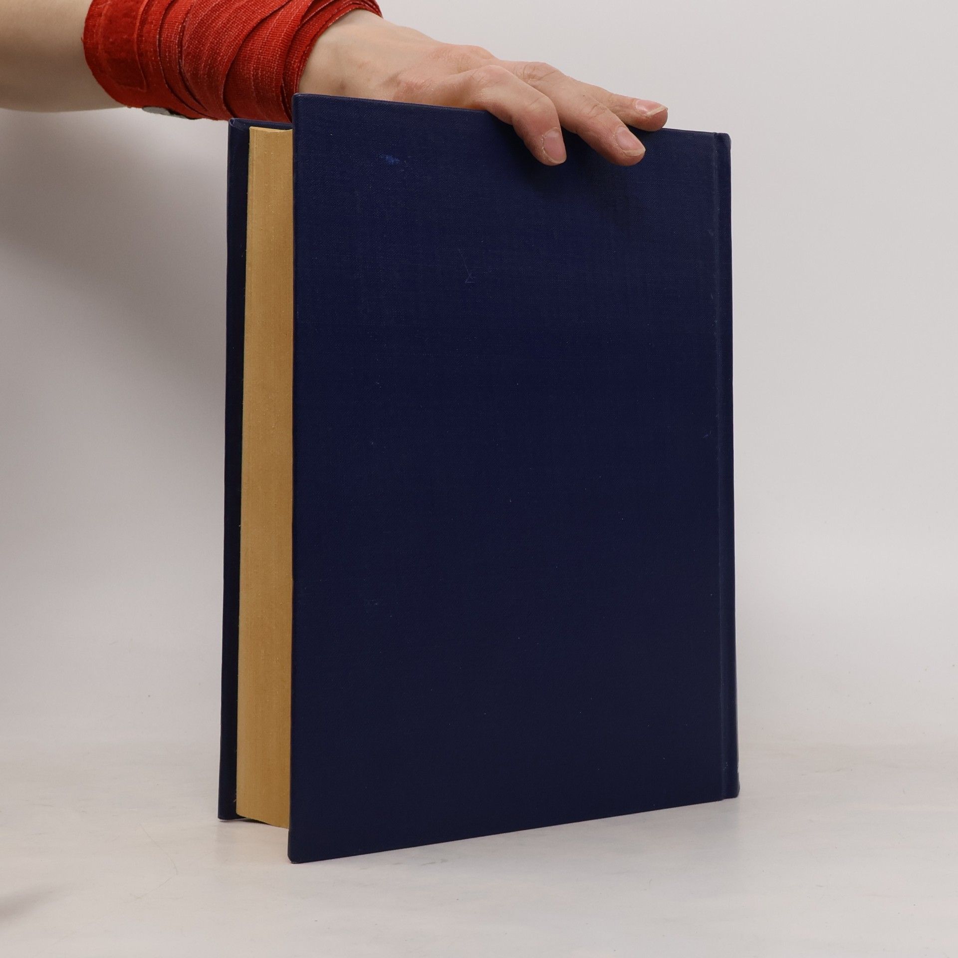 Kolektiv autorů Lehrbuch der chemischen Technologie