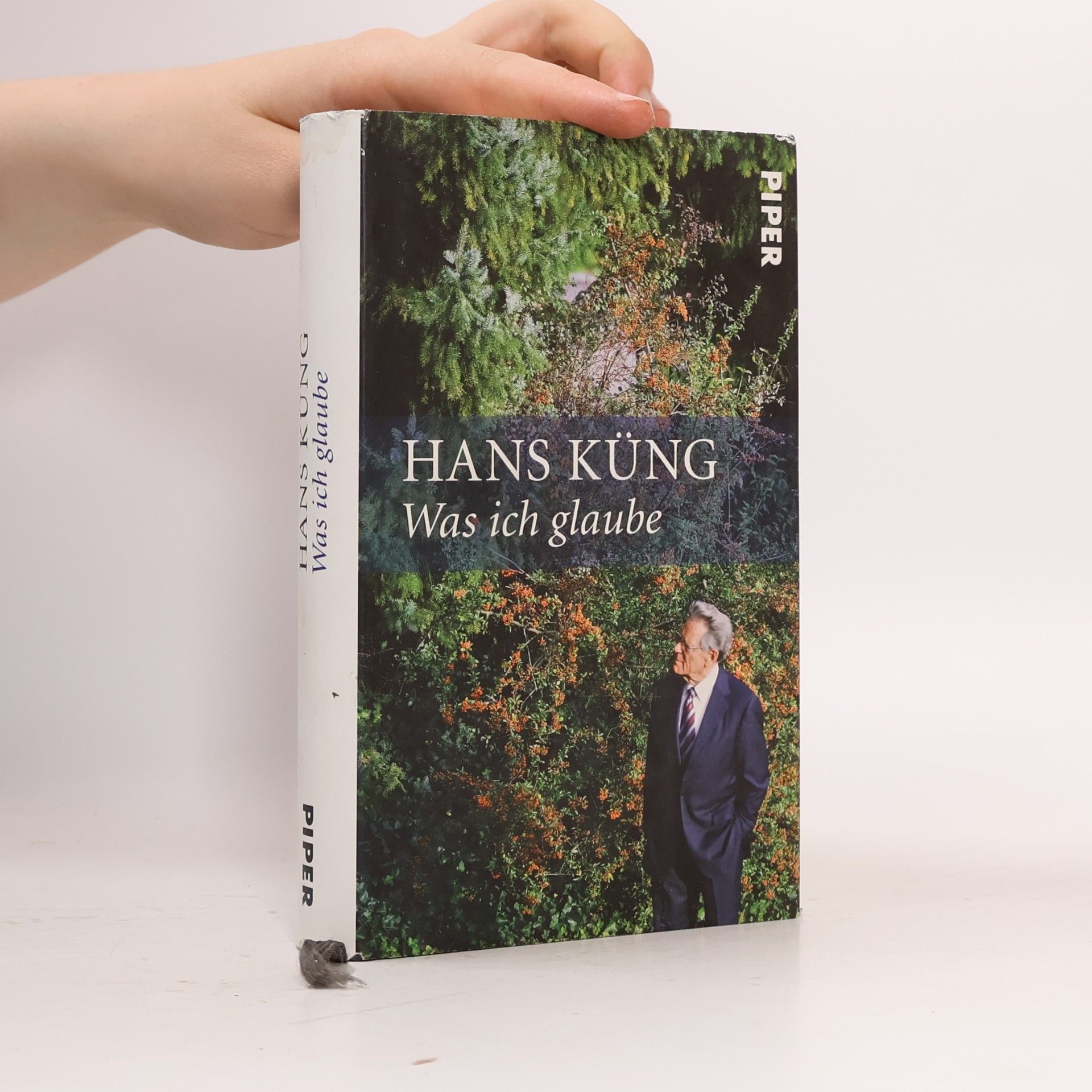 Hans Küng Was ich glaube
