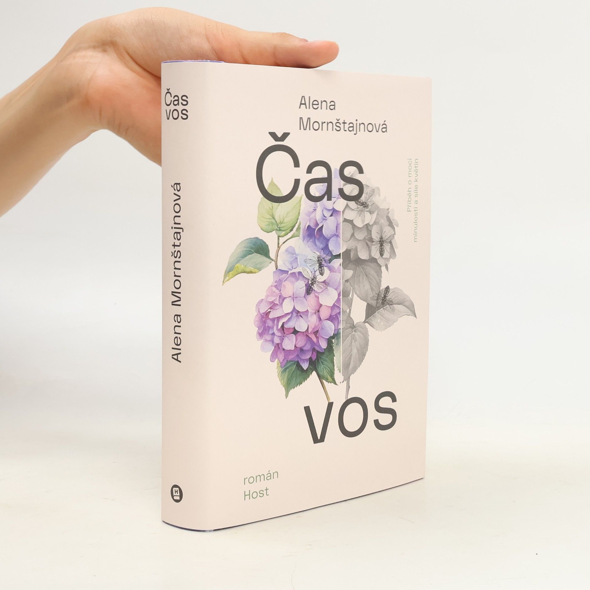 Alena Mornštajnová Čas vos