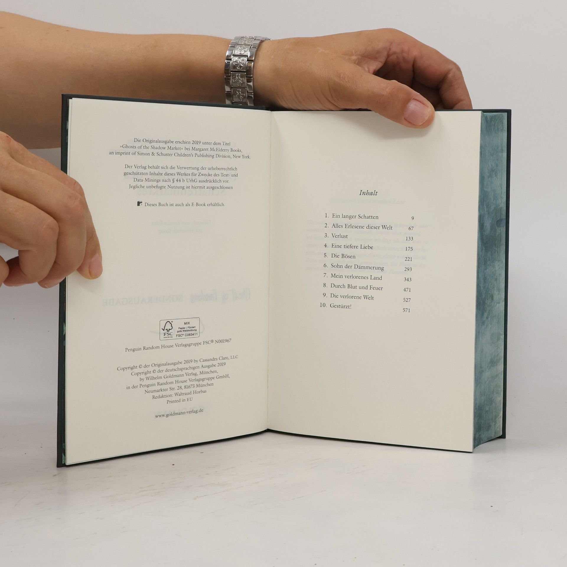Cassandra Clare Die Geheimnisse des Schattenmarktes I
