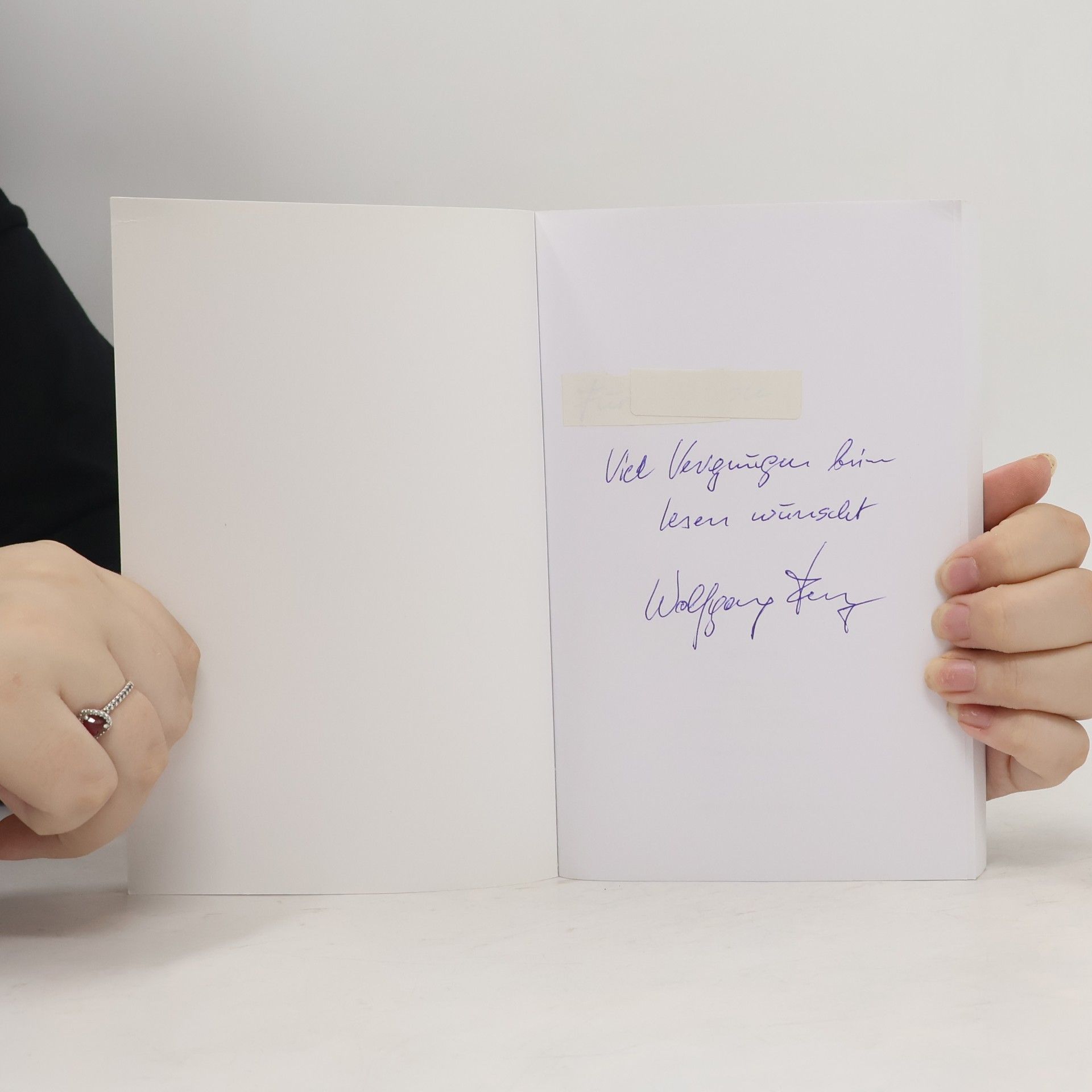 Wolfgang Fenz Mit den Bienen kam der Tod