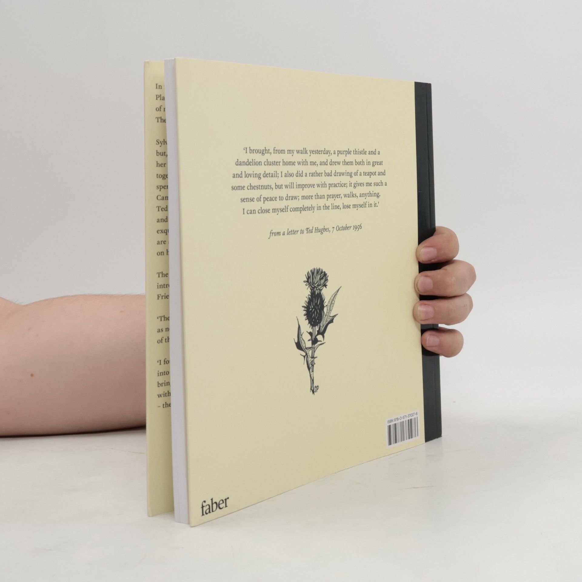 Frieda Hughes Sylvia Plath: Drawings