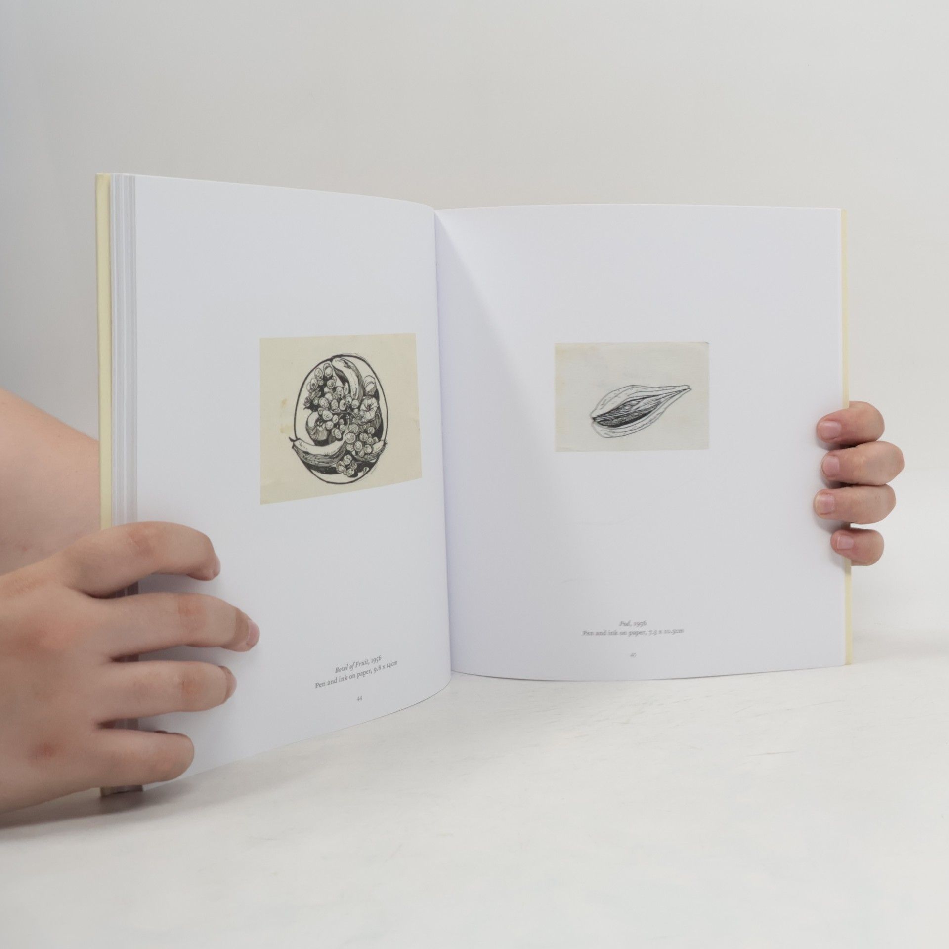 Frieda Hughes Sylvia Plath: Drawings