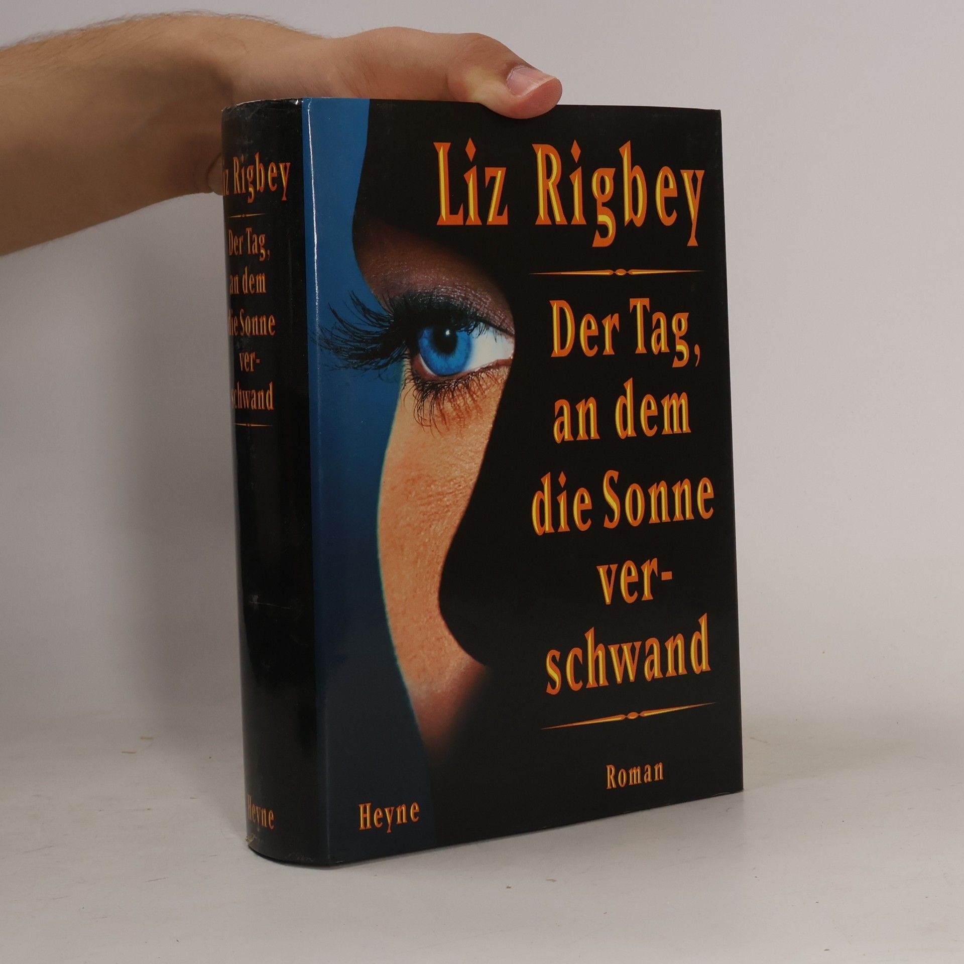 Liz Rigbey Der Tag, an dem die Sonne verschwand