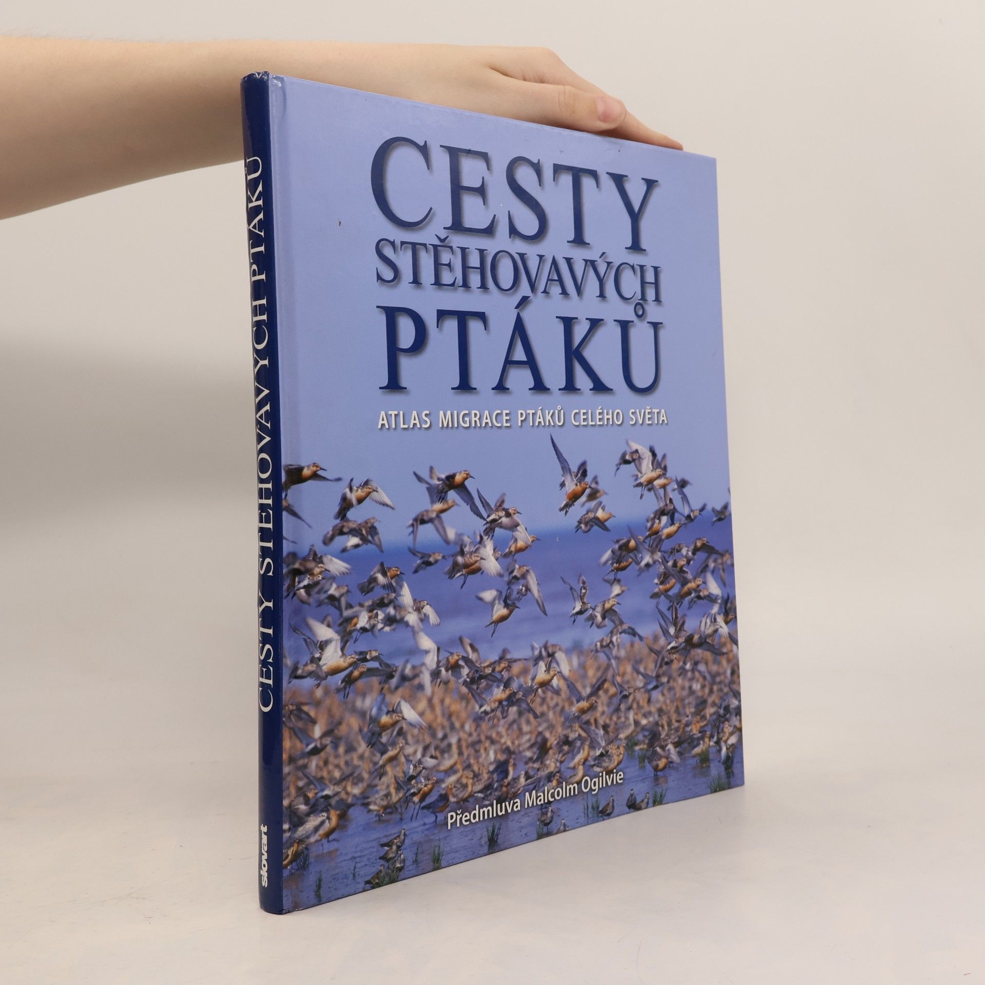 Jonathan Elphick Cesty stěhovavých ptáků