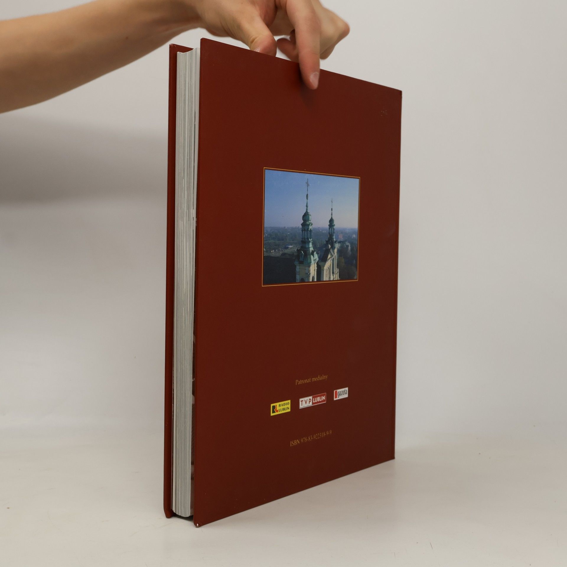 Various authors Album lubelski