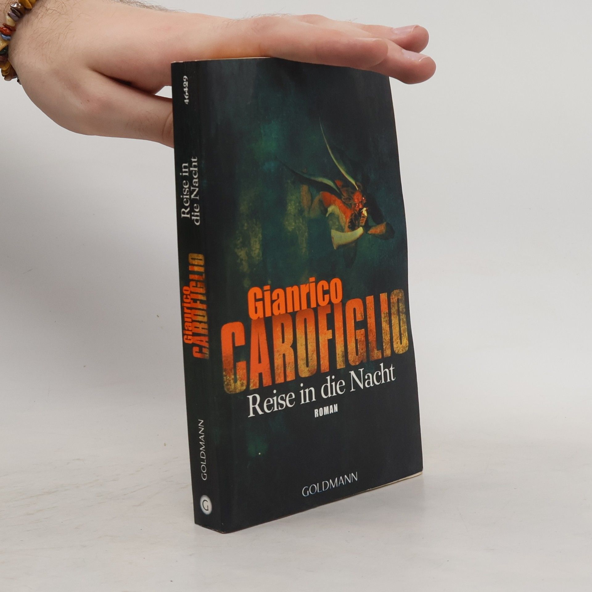Gianrico Carofiglio Reise in die Nacht