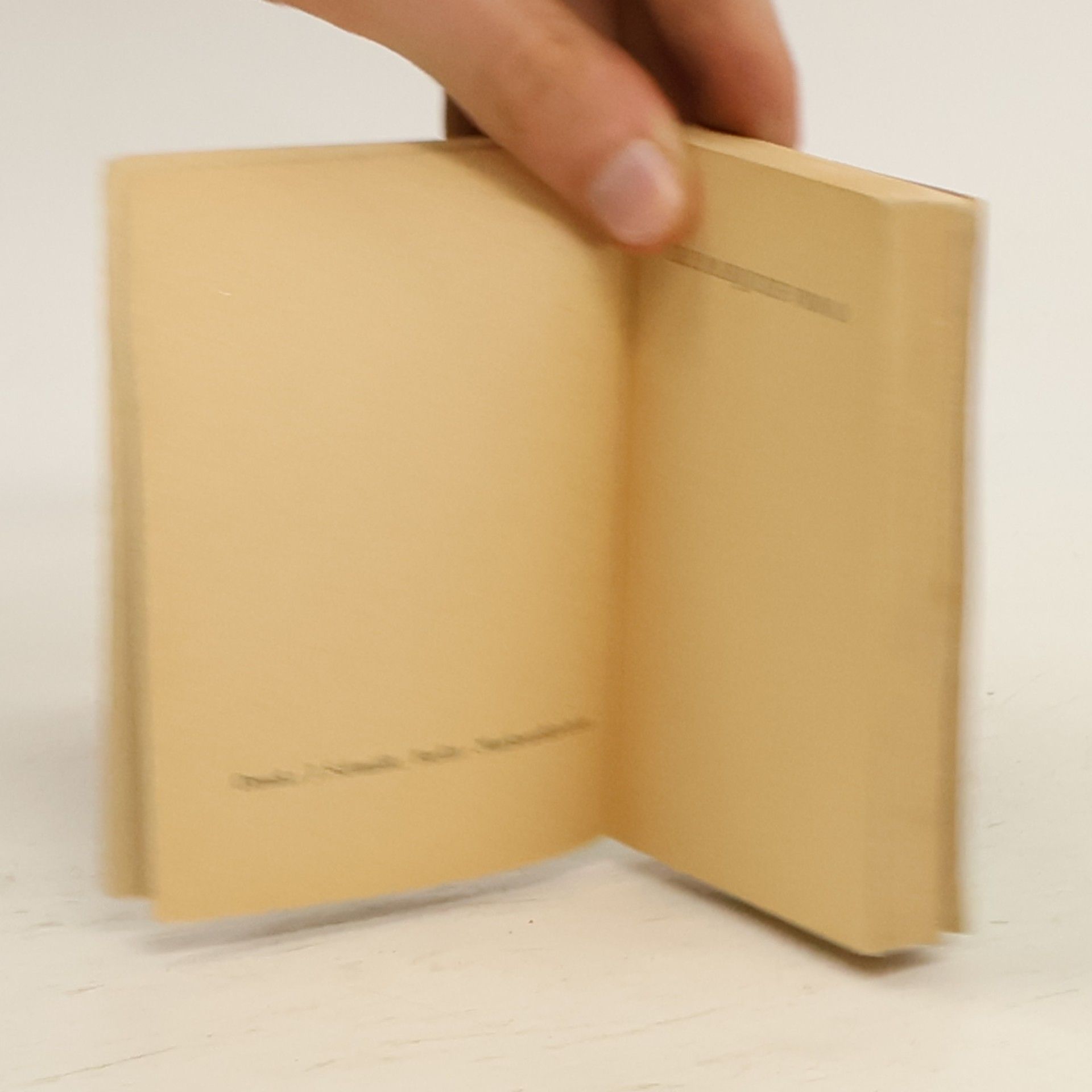 Heinrich von Kleist Die Marquise von O.