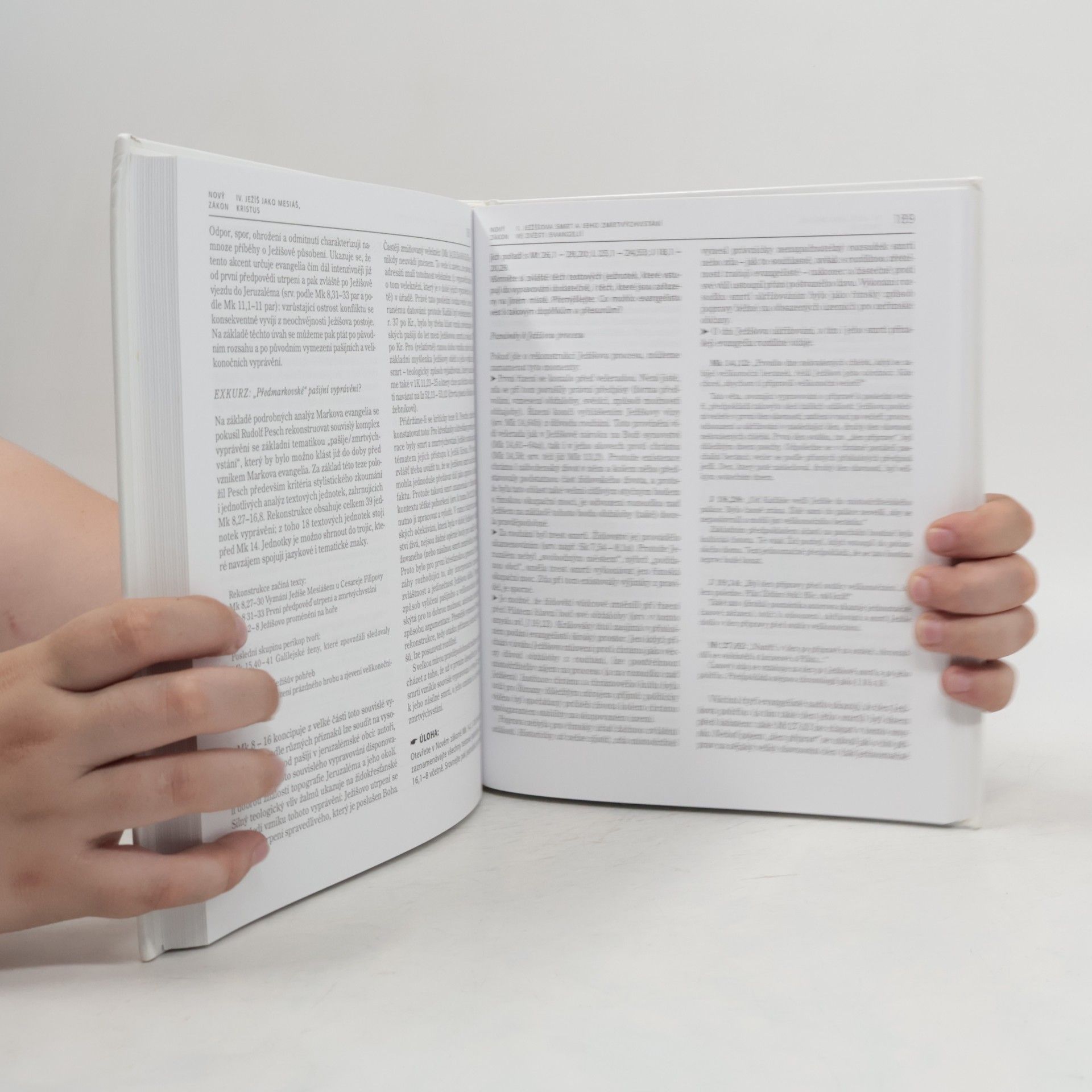 Ursula Struppe Jak porozumět Bibli. Úvod do Starého a Nového zákona