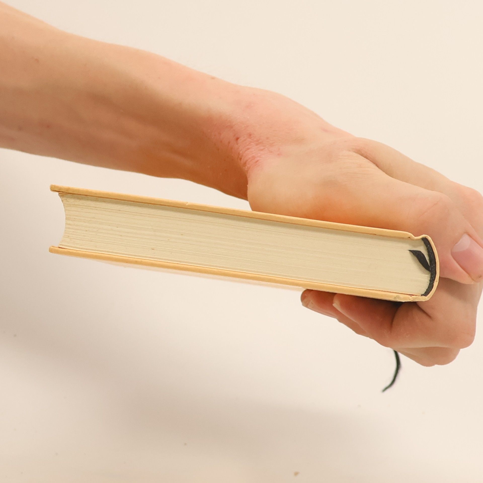 Johan Turi Die Andere Bibliothek - 89: Erzählung vom Leben der Lappen - Einmalige, limitierte Ausg.