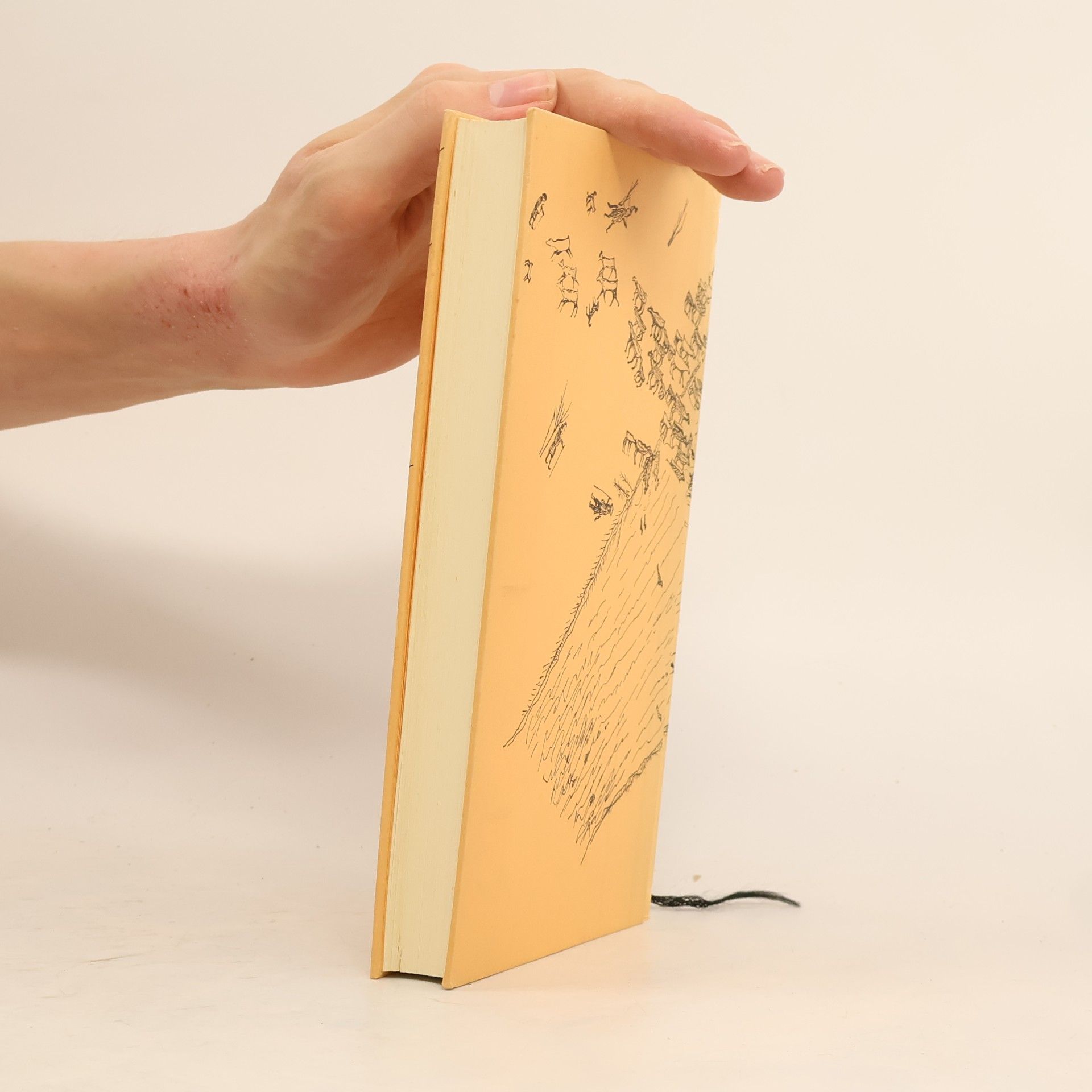 Johan Turi Die Andere Bibliothek - 89: Erzählung vom Leben der Lappen - Einmalige, limitierte Ausg.