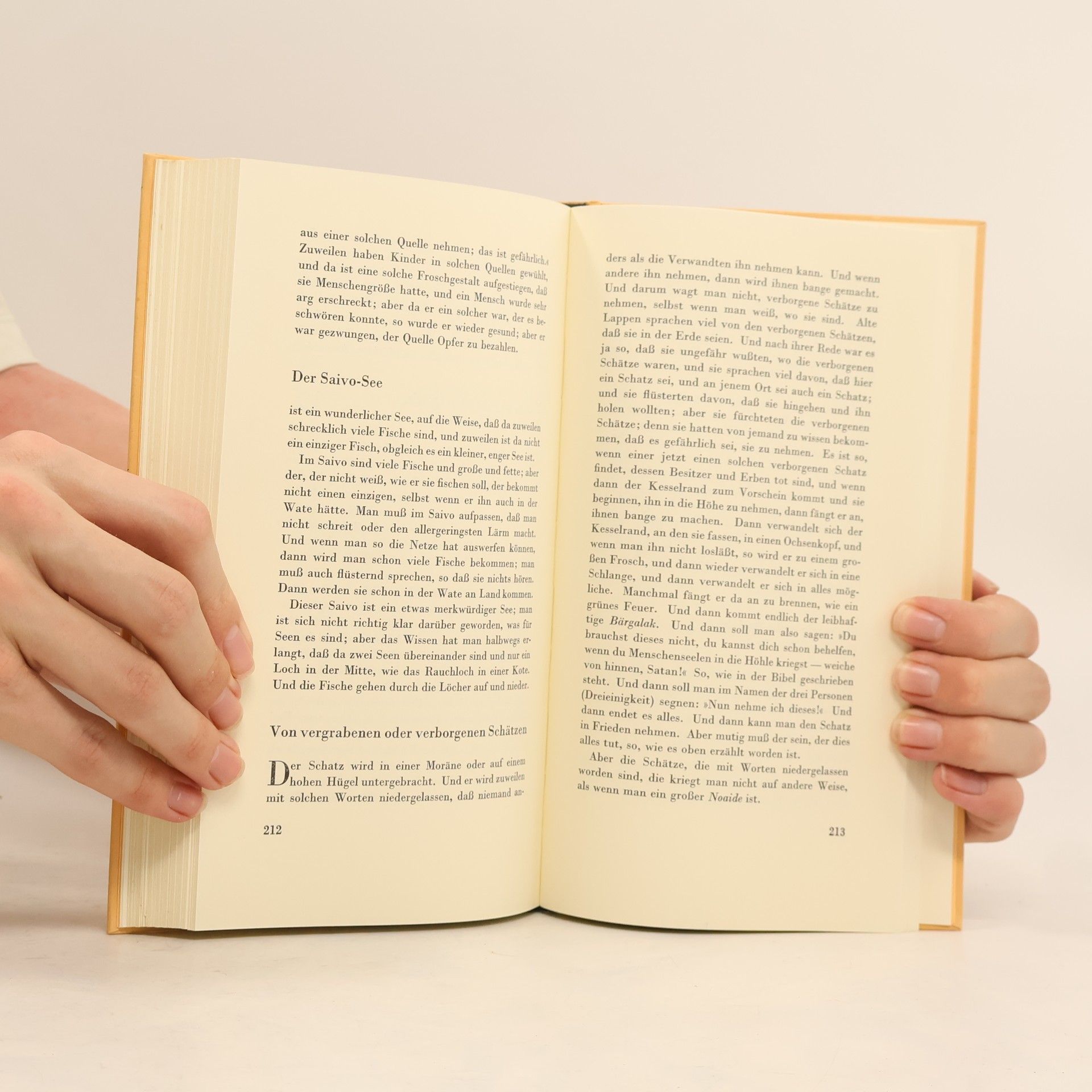 Johan Turi Die Andere Bibliothek - 89: Erzählung vom Leben der Lappen - Einmalige, limitierte Ausg.