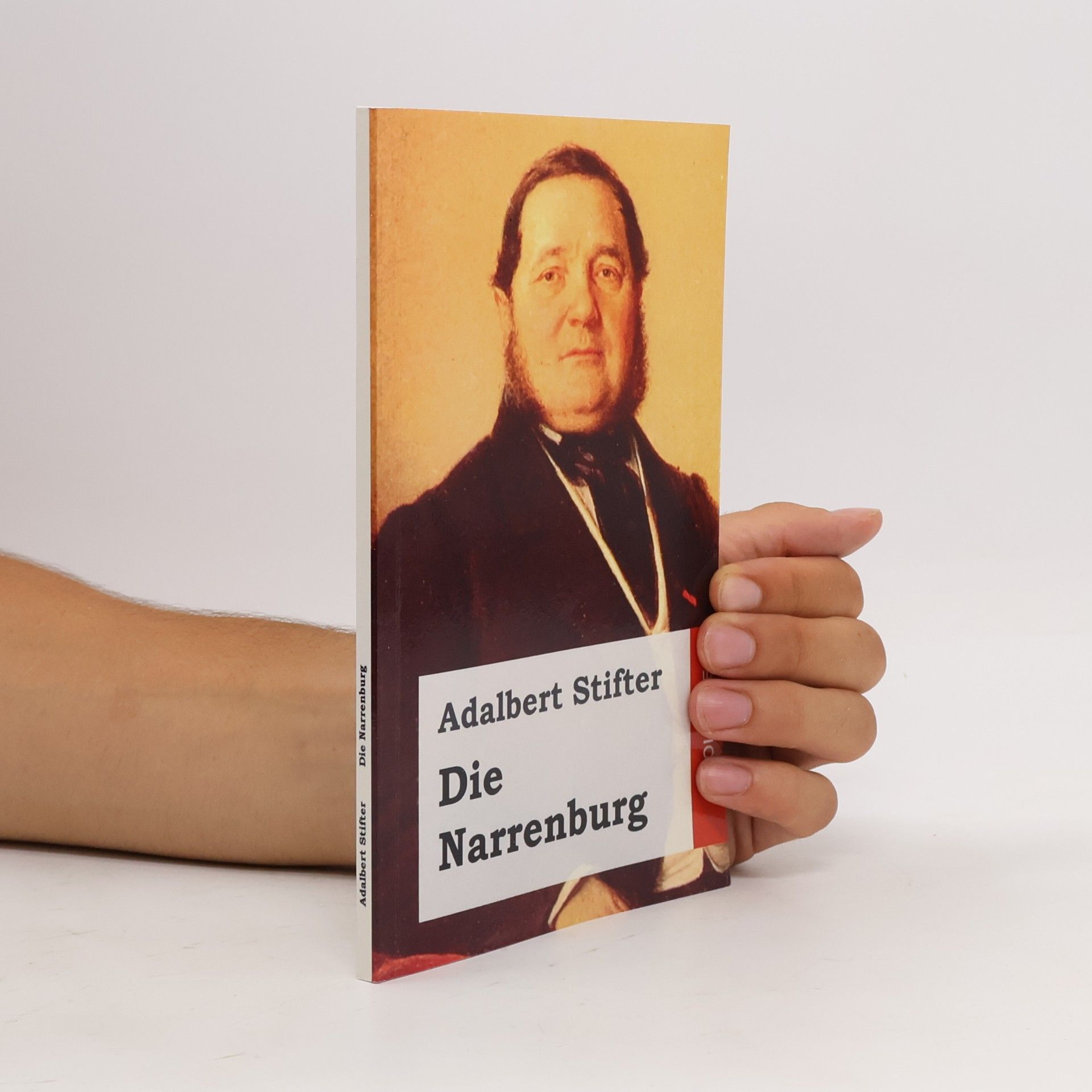 Adalbert Stifter Die Narrenburg