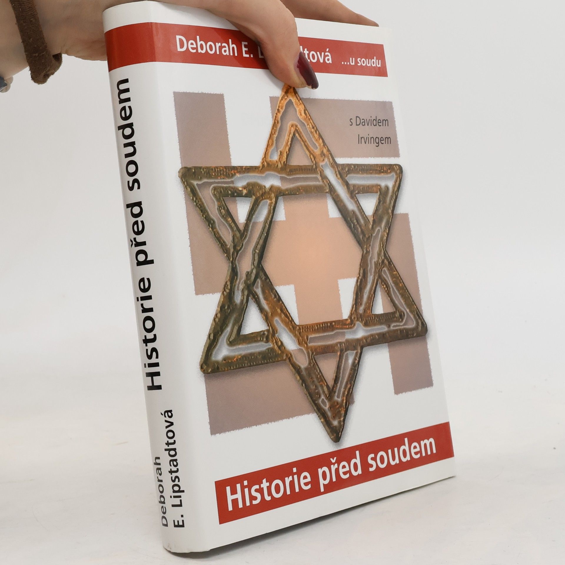 Historie před soudem: Můj den u soudu s Davidem Irvingem
