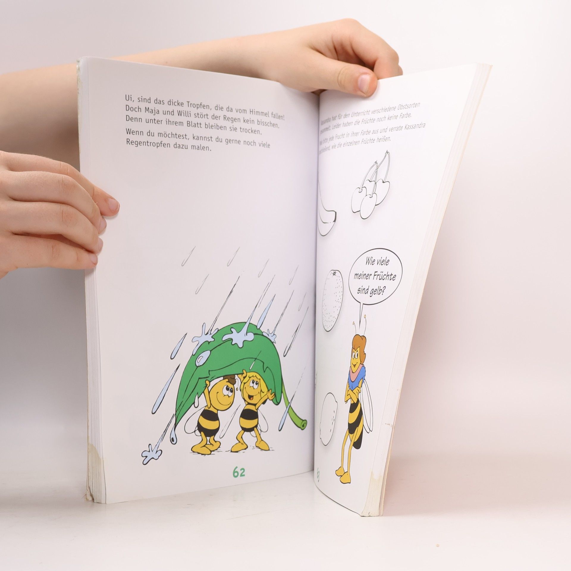 Biene Maja Vorschulbuch
