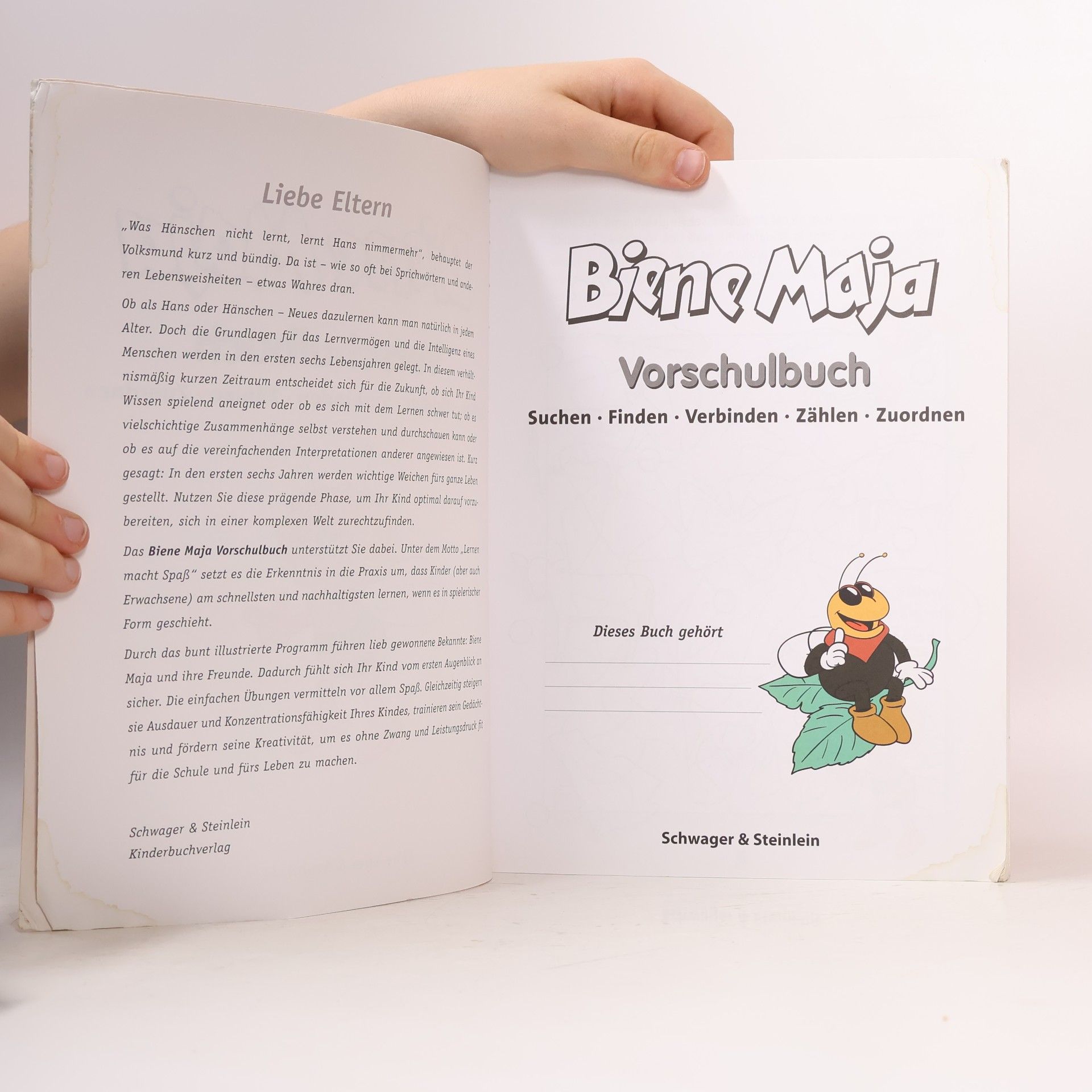 Biene Maja Vorschulbuch
