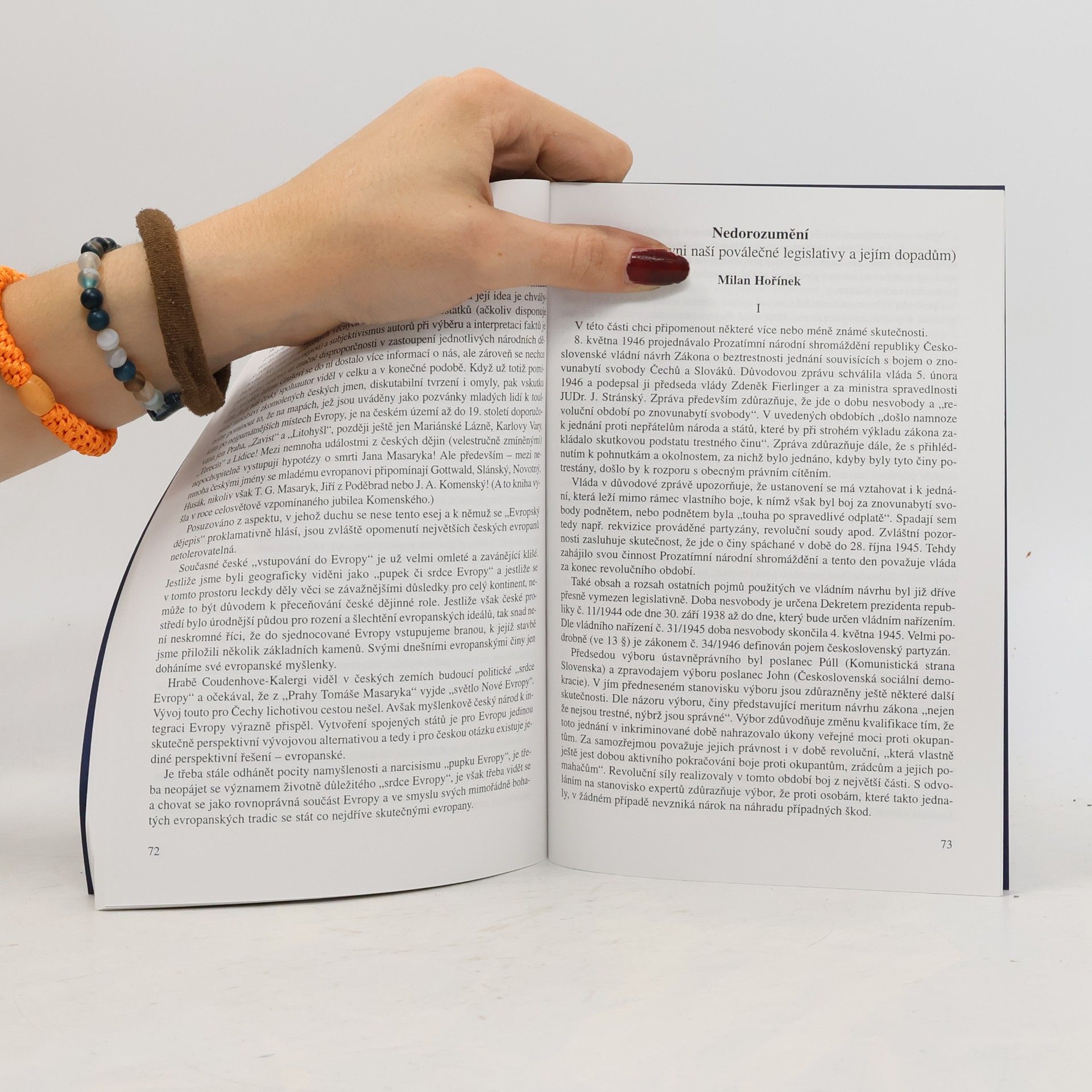 Milan Hořínek Trinacionální sympozium (Češi - Němci - Poláci): český pohled