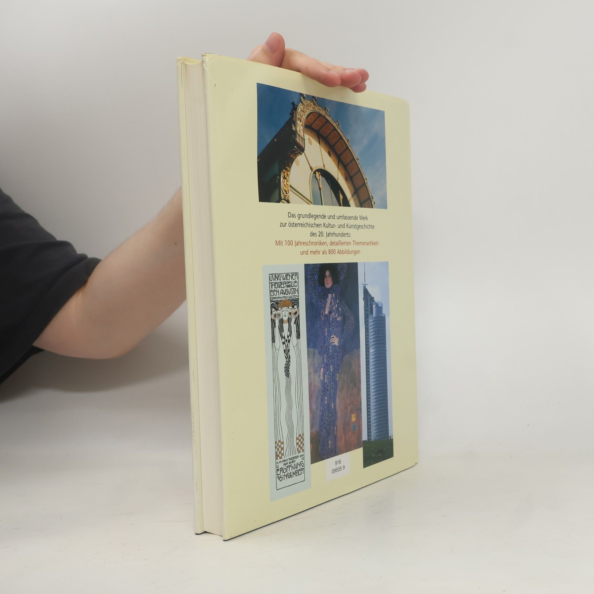 Barbara Denscher Kunst & Kultur in Österreich das 20. Jahrhundert