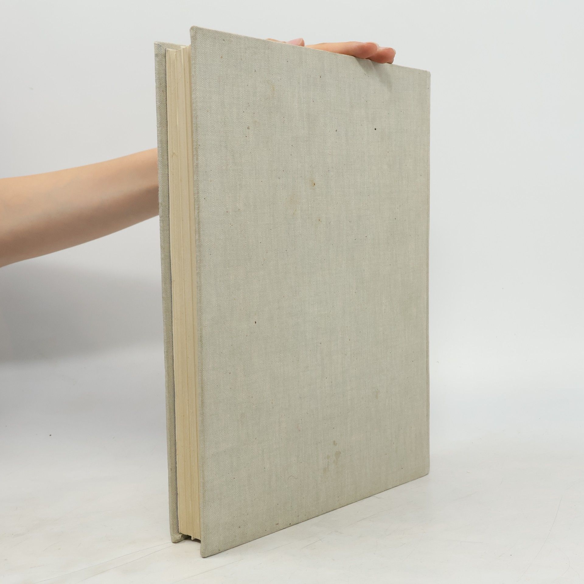 S. Rocheblave Die französische Malerei des XIX. Jahrhunderts