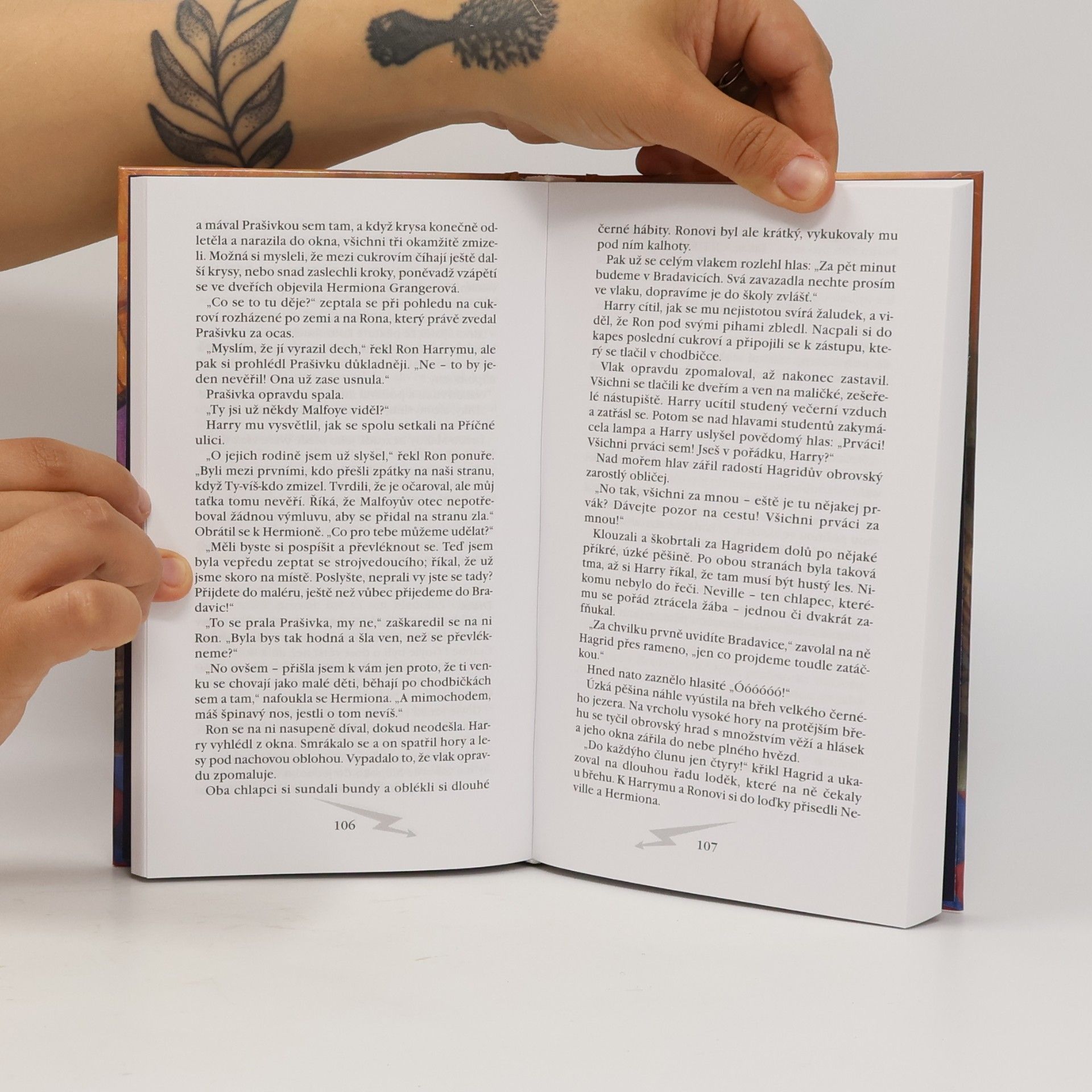 Joanne K. Rowlingová Harry Potter a kámen mudrců