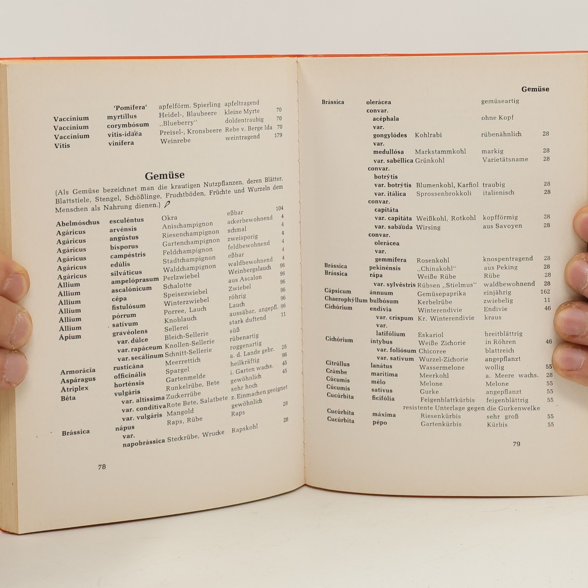 Hans Jessen Botanisches Wörterbuch für Gärtner und Floristen