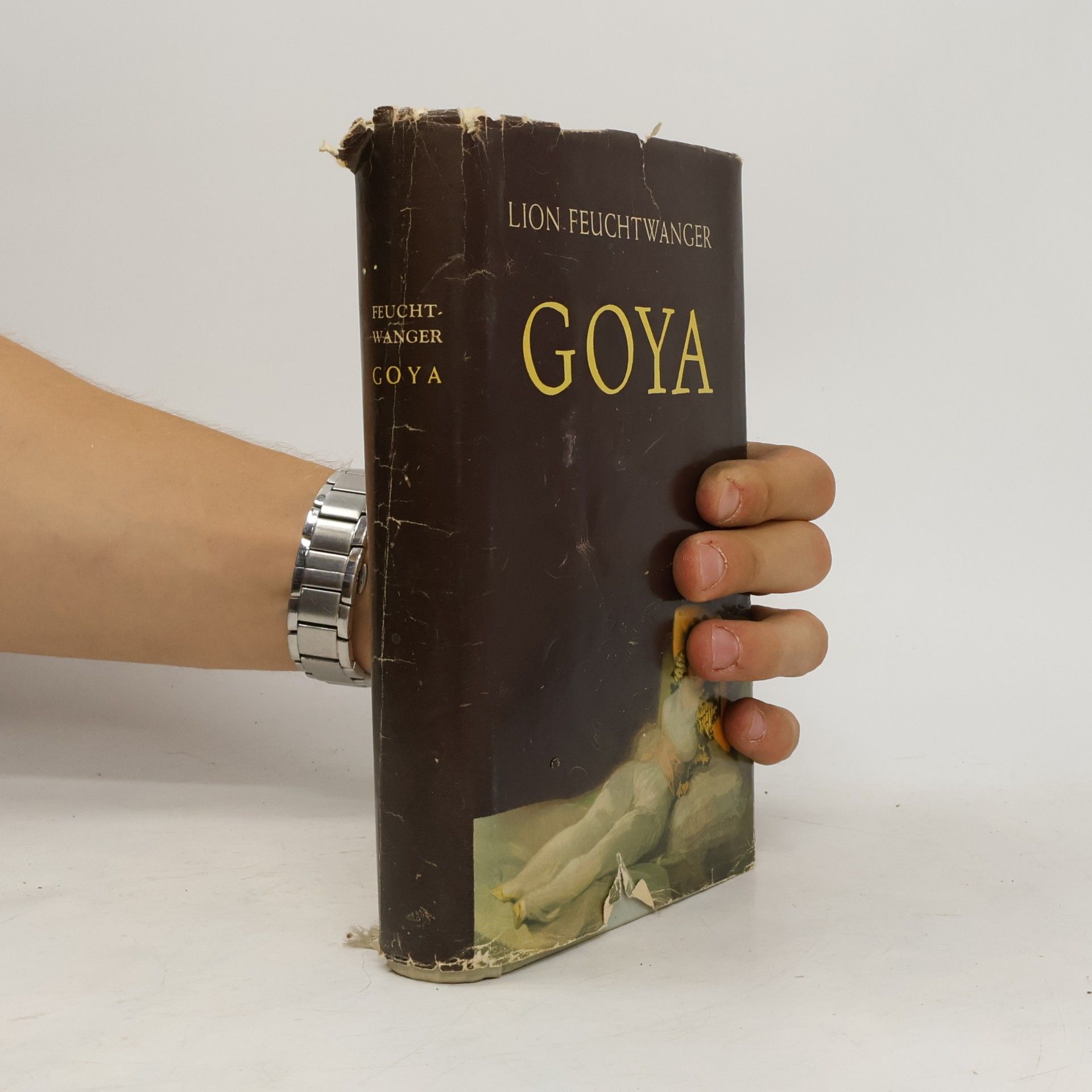 Lion Feuchtwanger Goya
