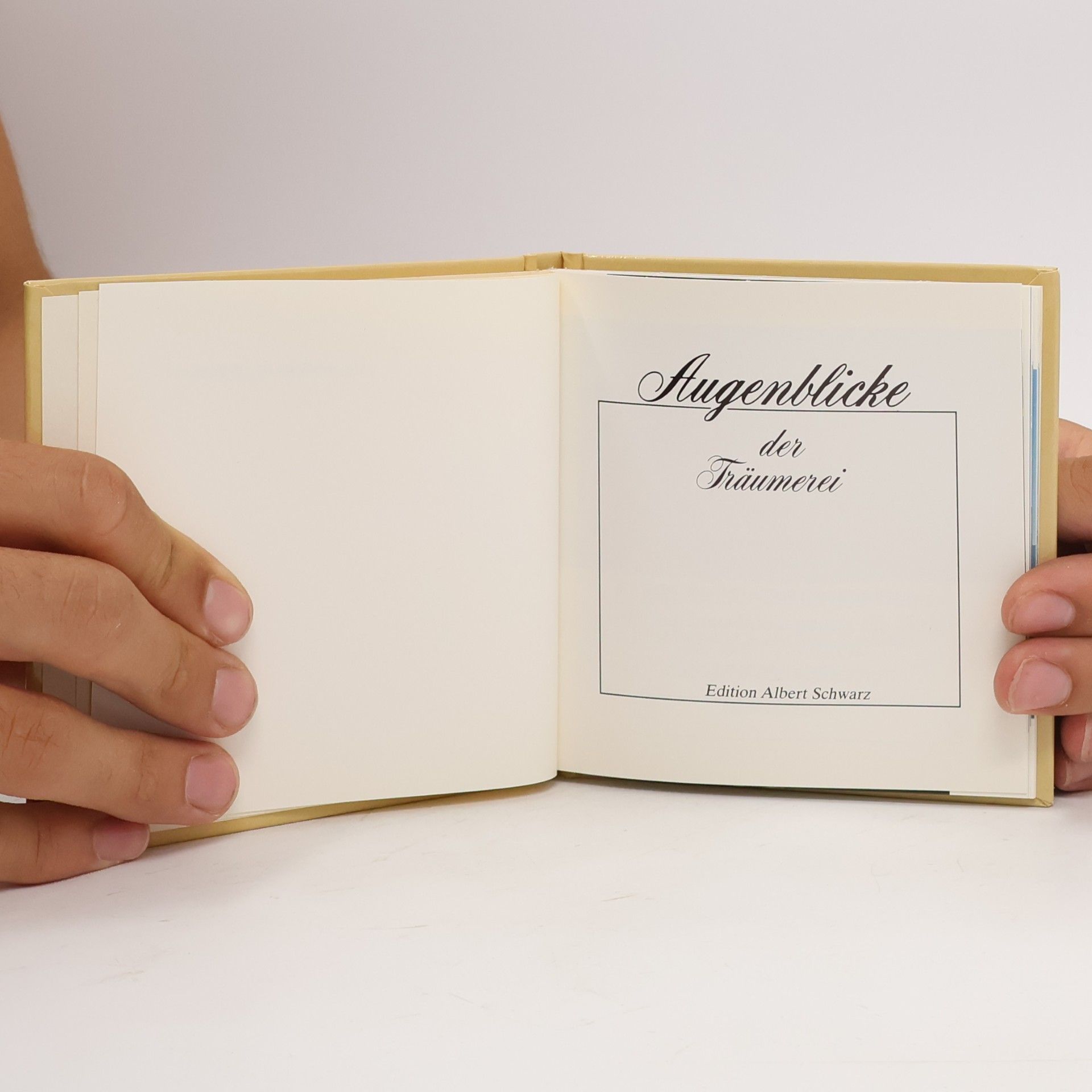 Albert Schwarz Augenblicke der Träumerei
