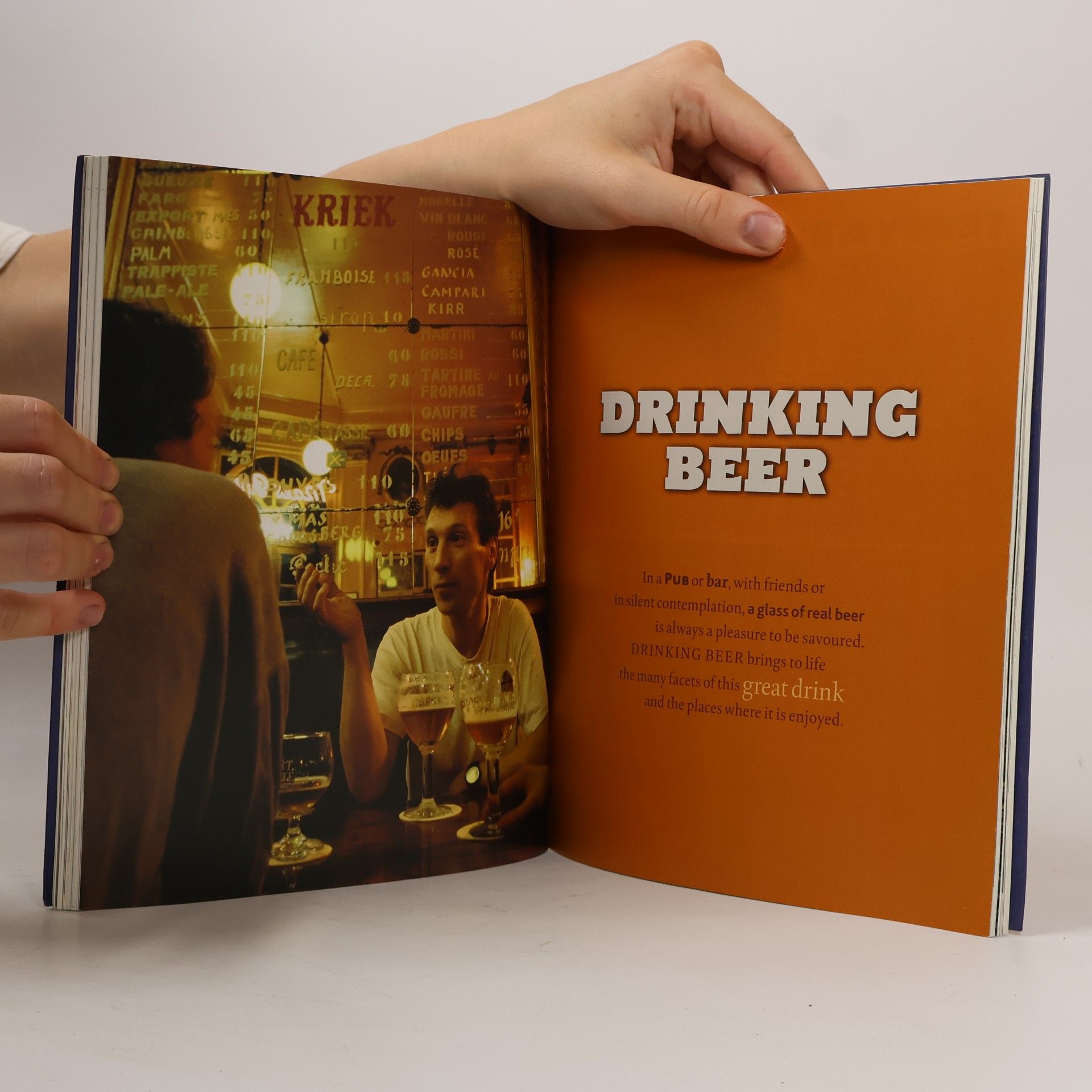 Adrian TierneyJones Big Book of Beer