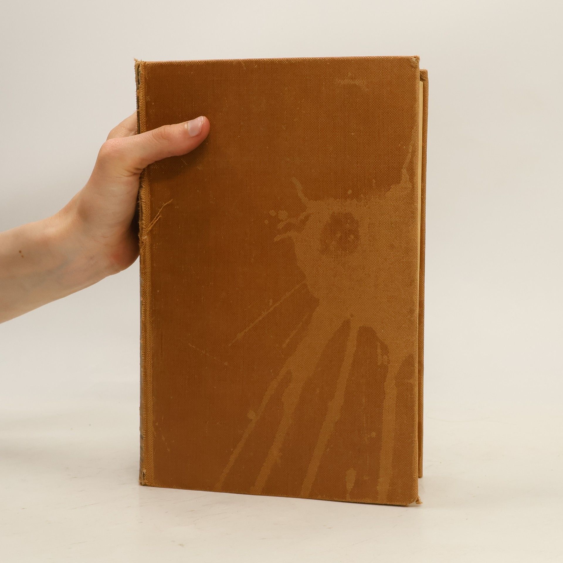 Auteurscollectief Der Neue Brockhaus 4