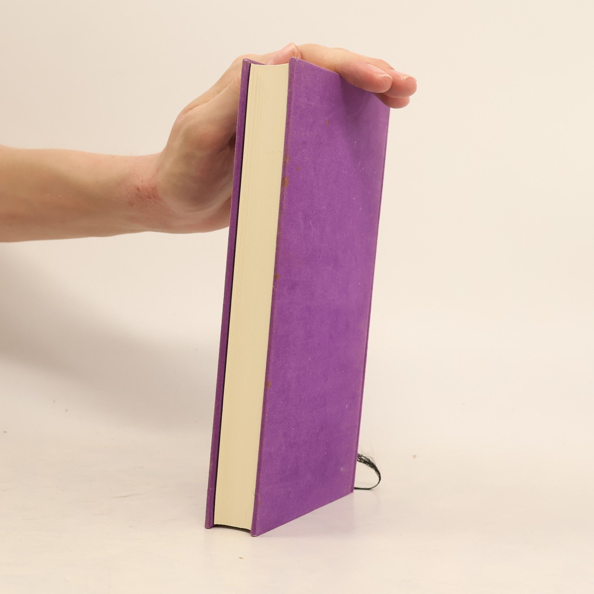 Elisabeth Ambras Fernsteuerung. Bettgeschichten