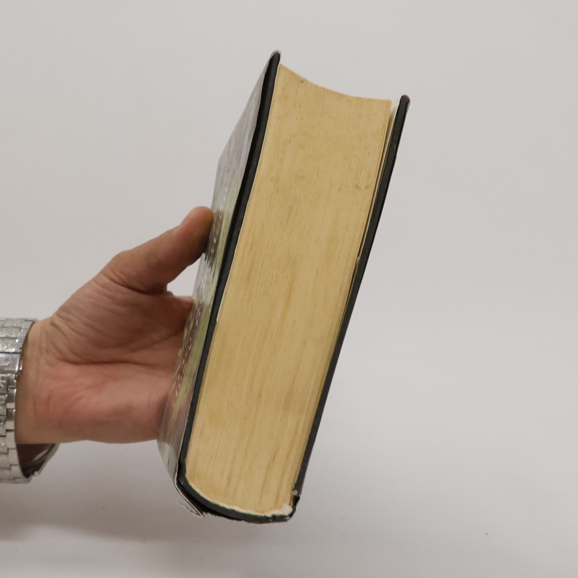 Minette Walters Der Schatten des Chamäleons