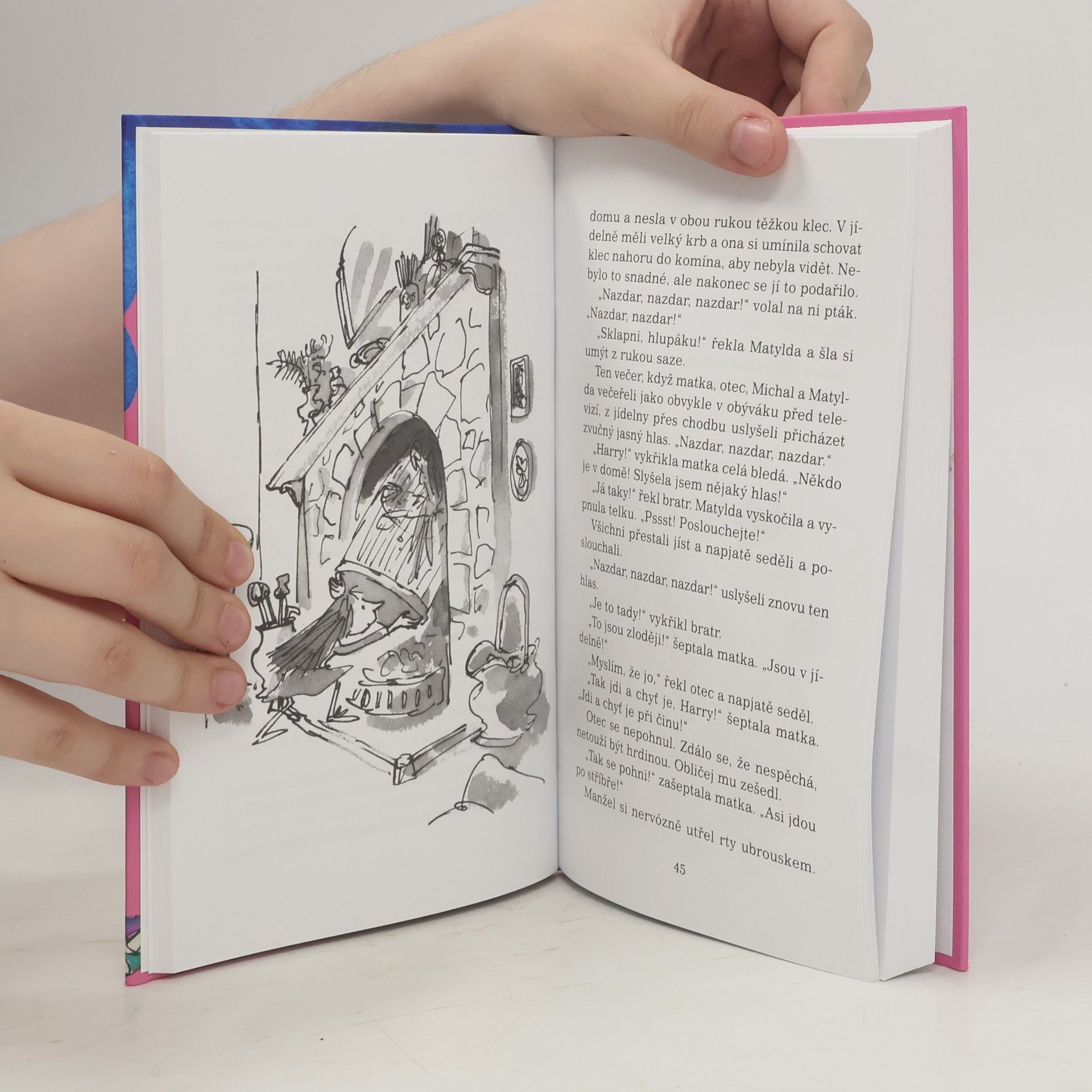 Roald Dahl Matylda