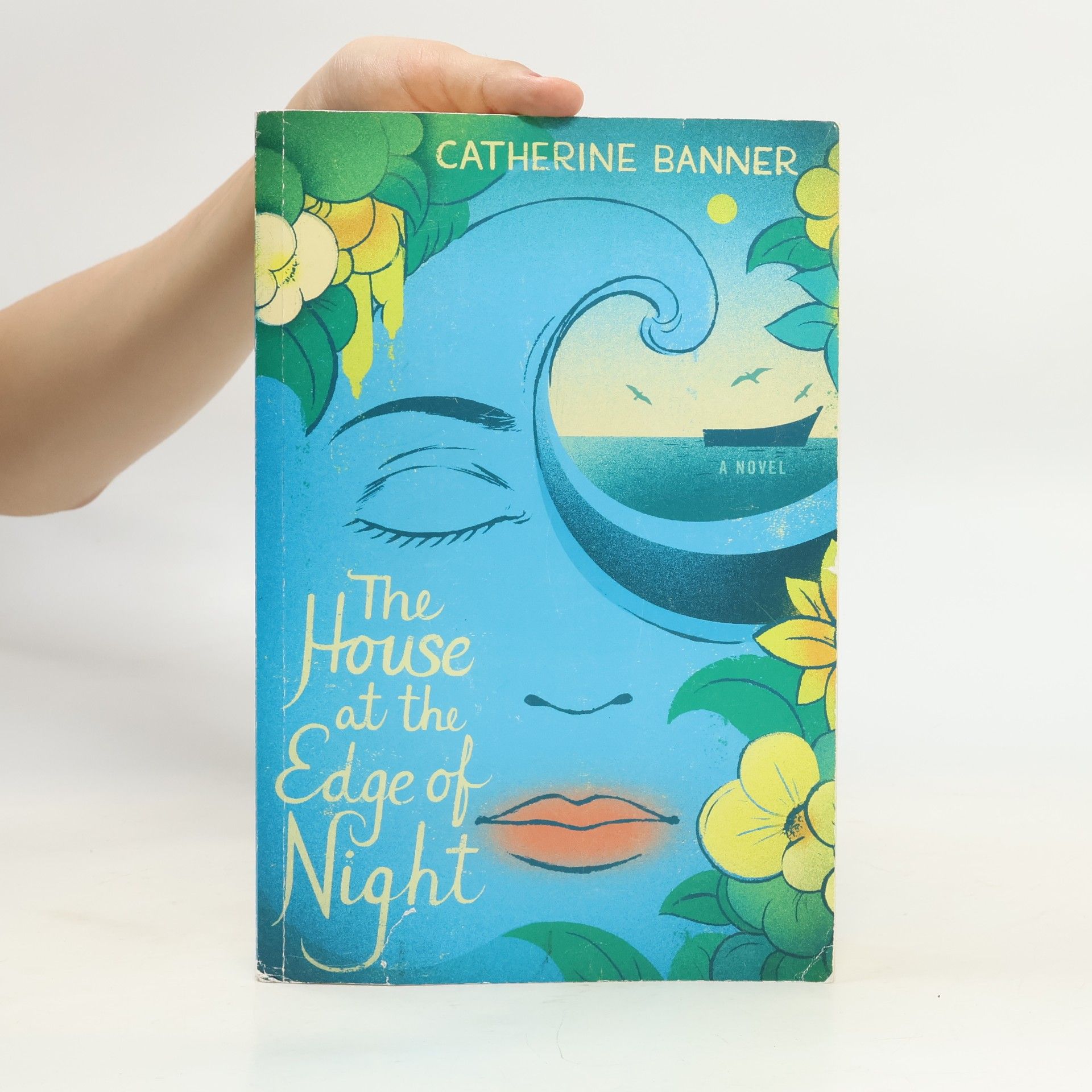 Catherine Banner The House at the Edge of Night