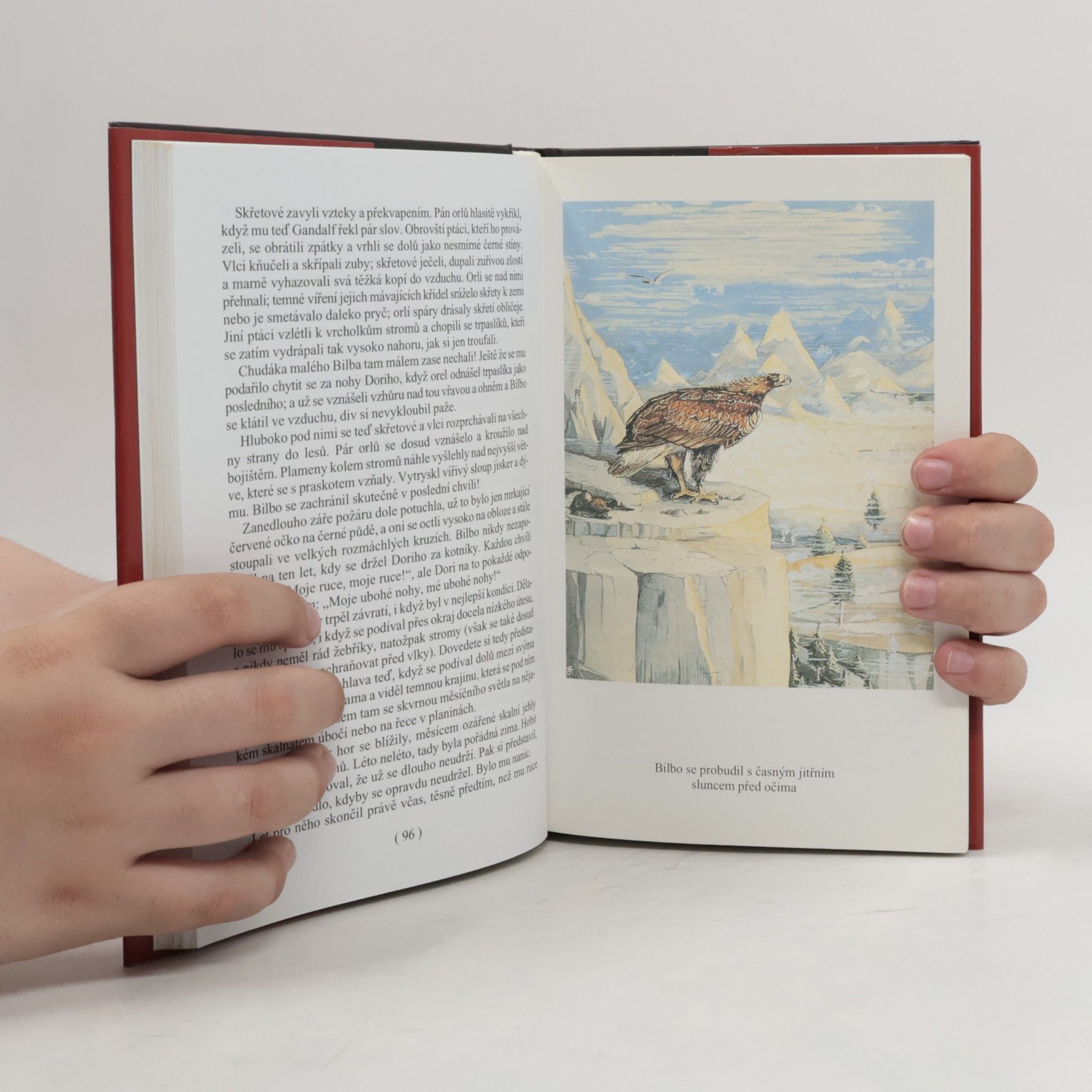 J. R. R. Tolkien Hobit aneb Cesta tam a zase zpátky