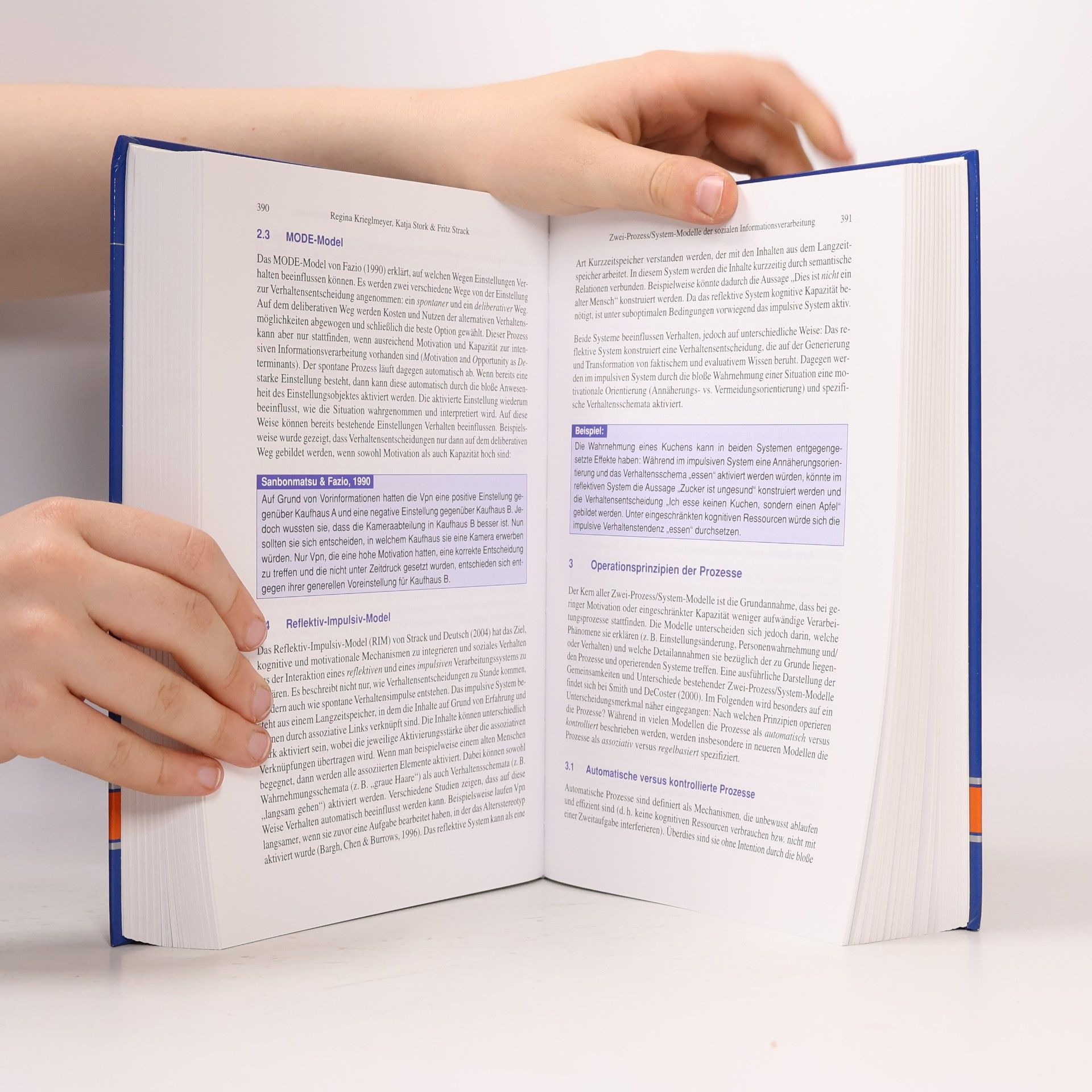 Hans Werner Bierhoff Handbuch der Psychologie: Handbuch der Sozialpsychologie und Kommunikationspsychologie