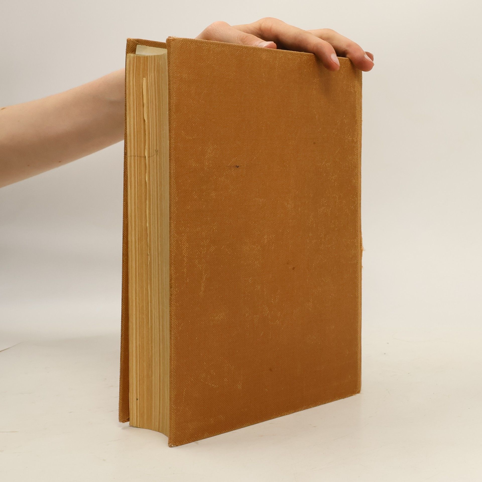 Kolektiv autorů Der Neue Brockhaus 3.