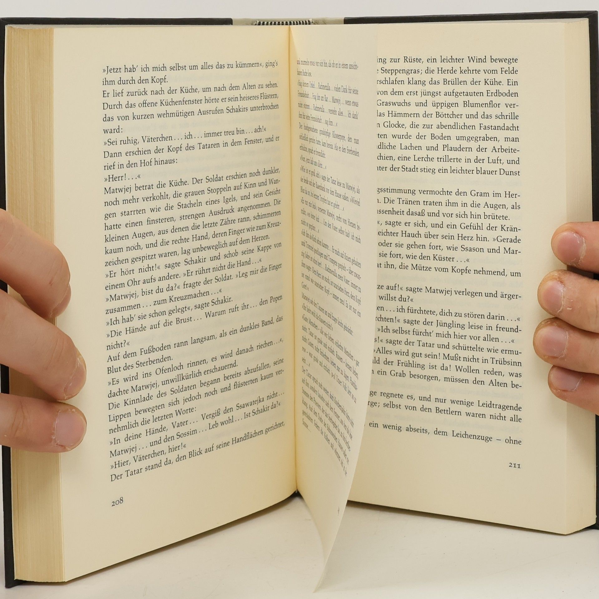 Maxim Gorky Der Sohn der Nonne