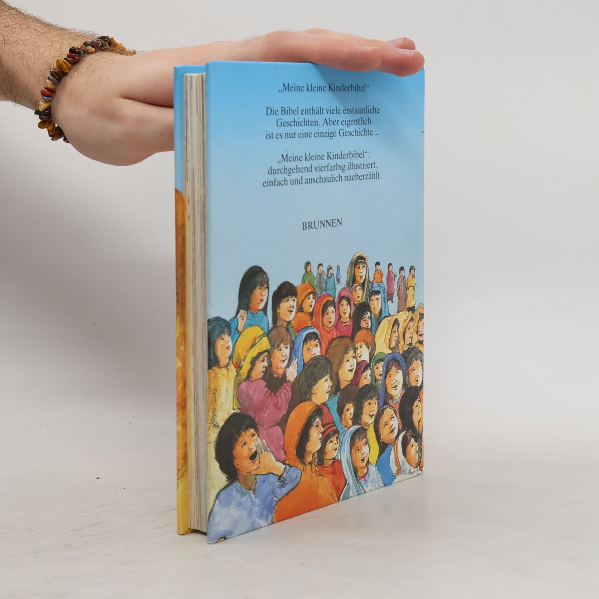 David Alexander Meine kleine Kinderbibel